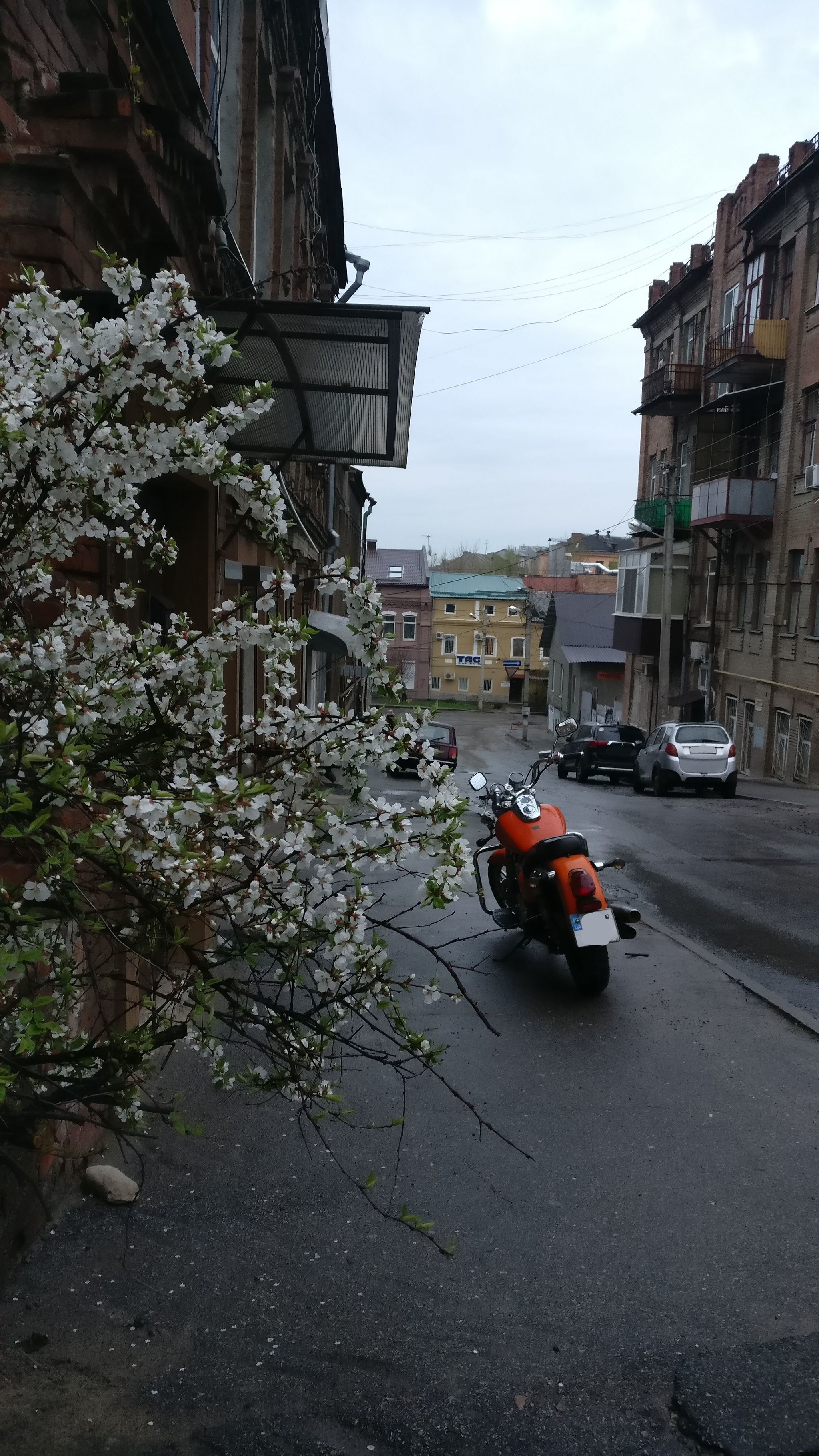 Spring Street - My, Kharkov, The photo, Mobile photography, Spring, Moto, Flowers, Cherry, Dogwood, The street, Lightroom, Longpost