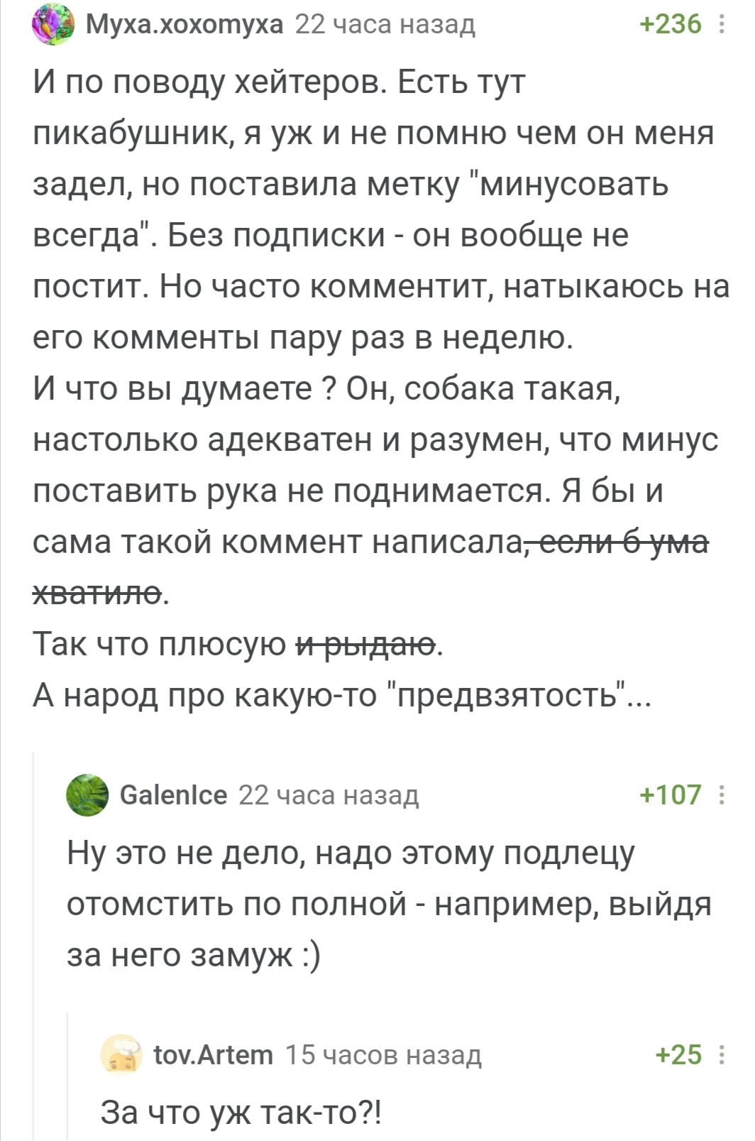 Надо отомстить - Скриншот, Комментарии на Пикабу, Мат, Длиннопост