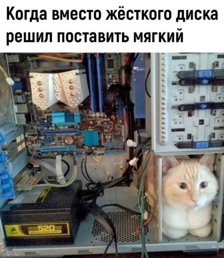 Computer joke - cat, Computer