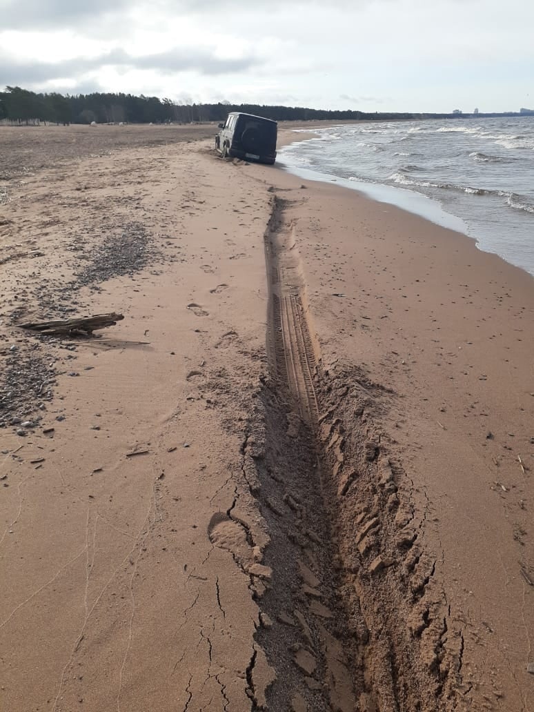 Something went wrong - Kurortny district, The Gulf of Finland, Beach, Cattle, Germans, Stuck in textures, Auto, From the network, Longpost