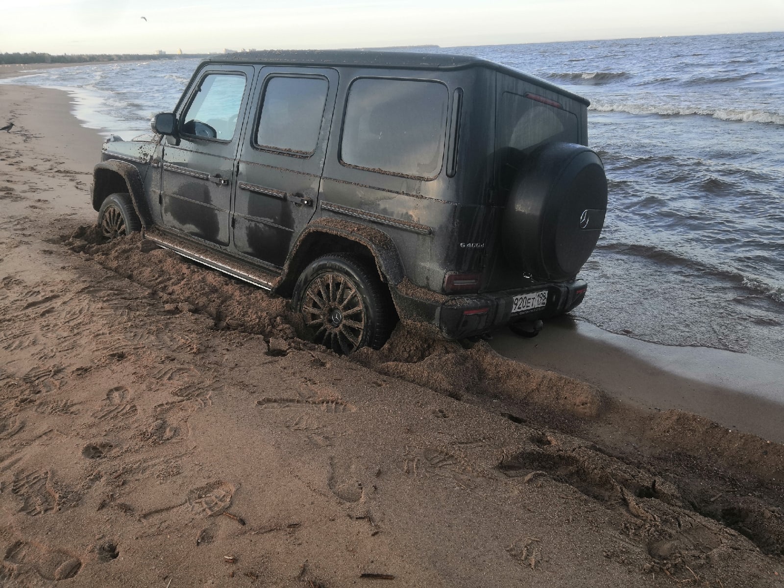 Something went wrong - Kurortny district, The Gulf of Finland, Beach, Cattle, Germans, Stuck in textures, Auto, From the network, Longpost