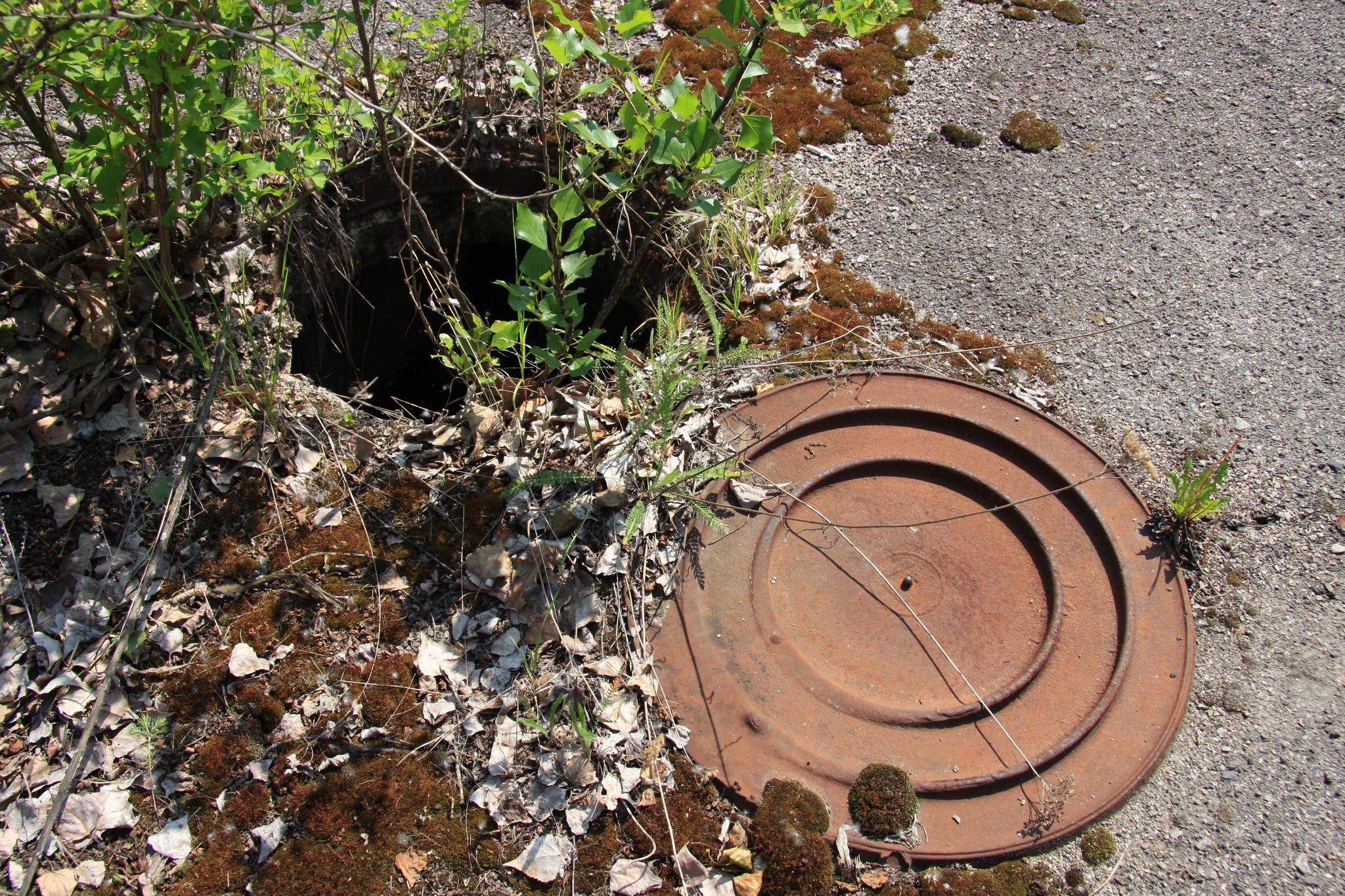 Chernobyl. Pripyat. May 2012. Part 2 - My, Chernobyl, Chernobyl, Pripyat, Exclusion Zone, Radiation, Catastrophe, Technological disaster, Abandoned, Urbanturism, Urbanphoto, Urbanfact, Longpost, The photo