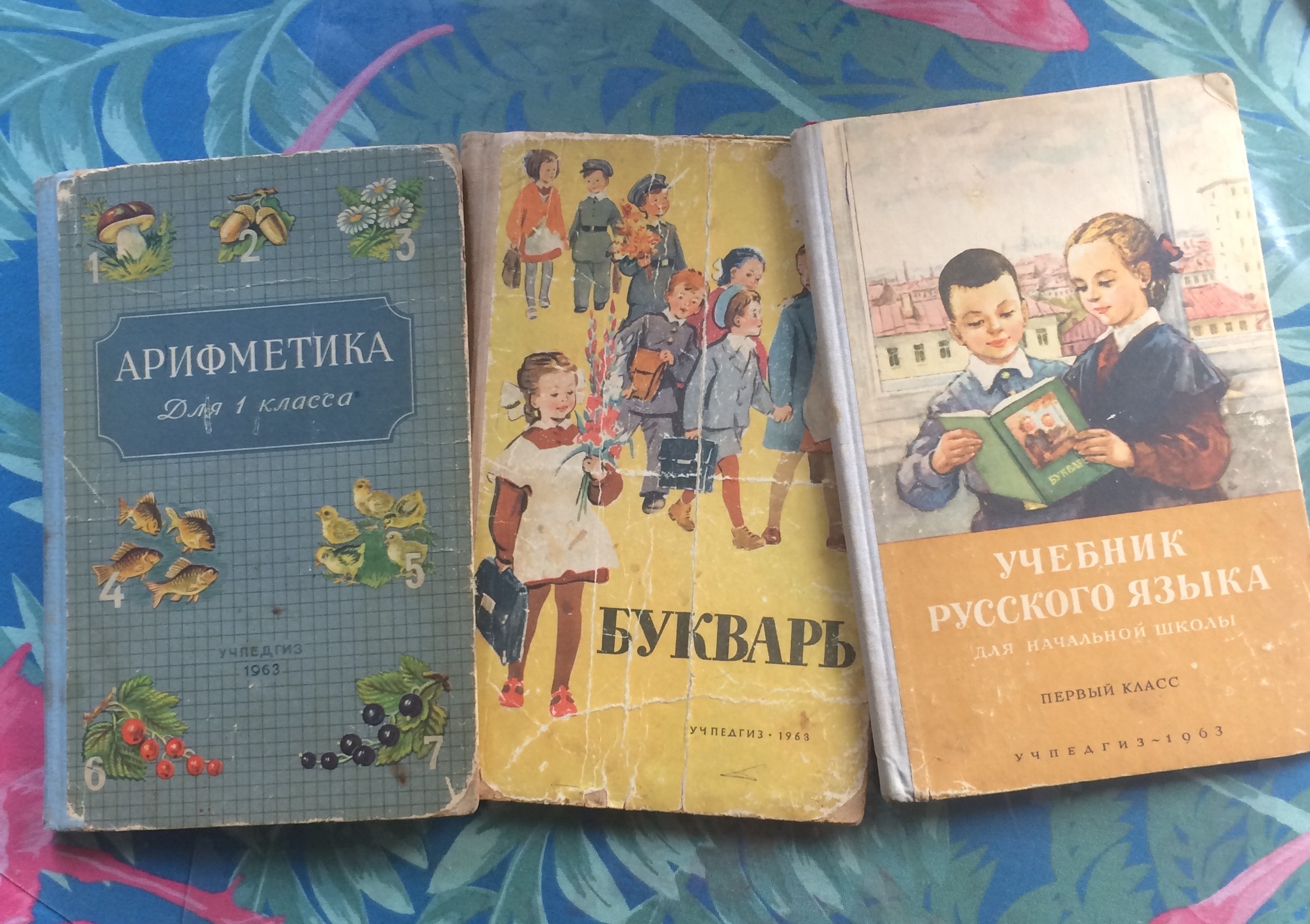 We moved a hundred times, didn’t burn down and didn’t end up in waste paper. - My, Longpost, Childhood in the USSR, elementary School, Textbook, Family, Children