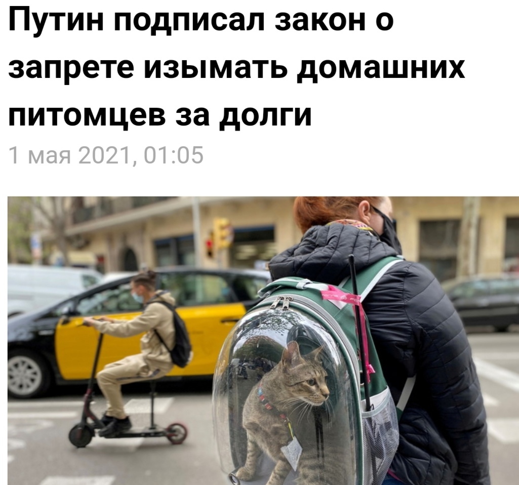 The cats are saved! You can continue to post) - Pets, Duty, Russia today, cat, Law