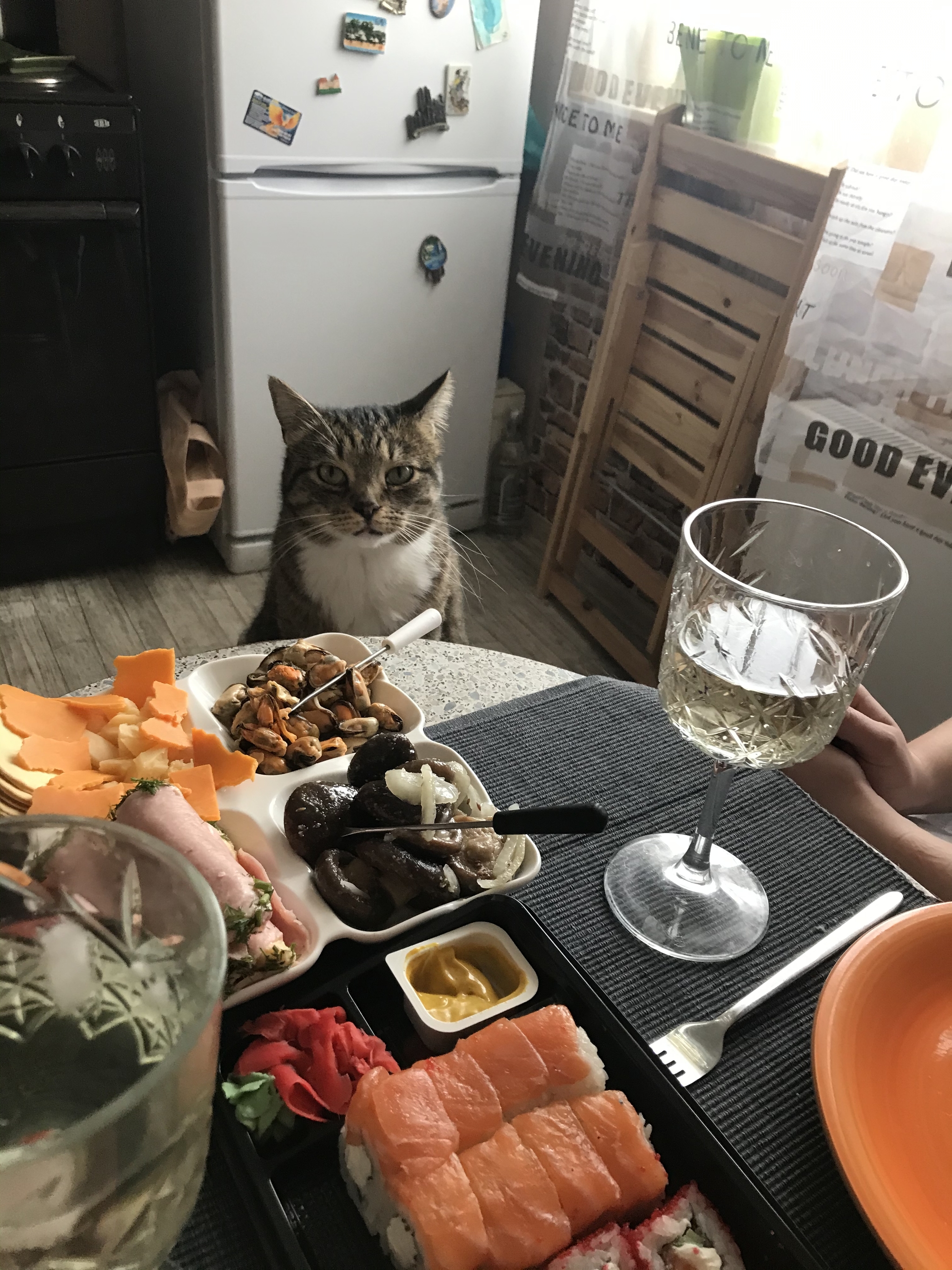 Series Saturday Cat - My, cat, Feast, Longpost