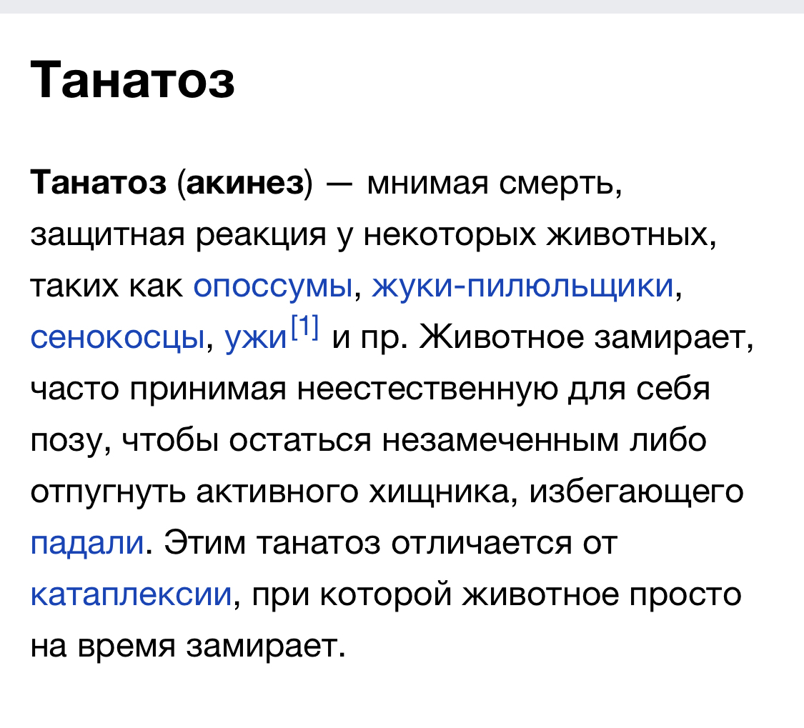 Ответ на пост «Нашел птицу, и не могу понять живая она или нет» - Птичку жалко, Погода, Повтор, Видео, Ответ на пост