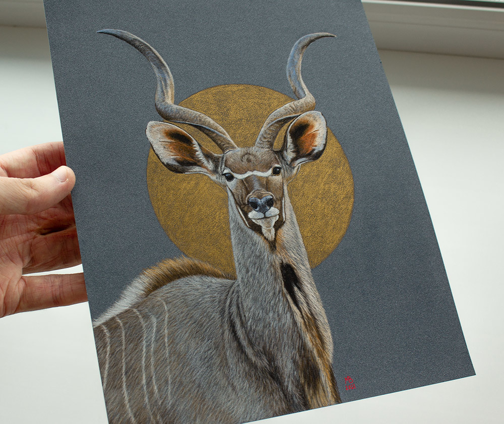 Greater Kudu - My, Drawing, Pastel, Animalistics, Antelope, Animals, Longpost