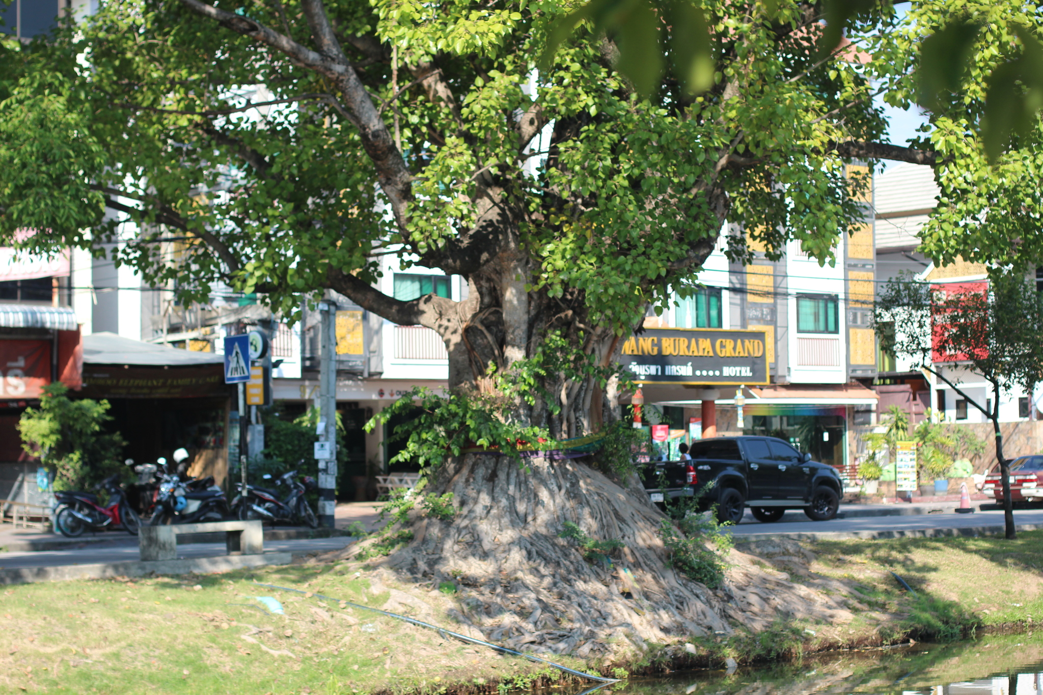 Neighborhoods of Chiang Mai - My, Chiang mai, Chiang Mai, Thailand, Travels, beauty, Town, Temple, Longpost, The photo