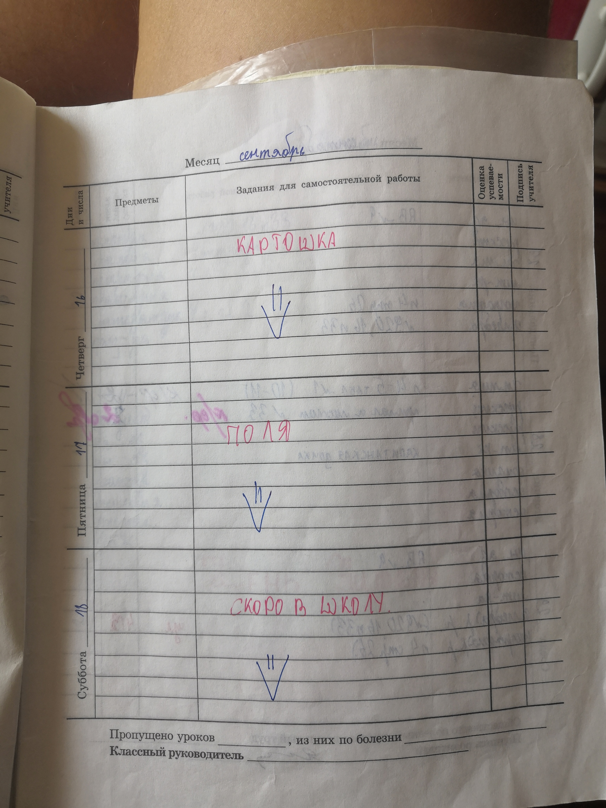 My school diaries. 1993-2001 - My, School diary, School, Diary, 90th, Longpost, Studies