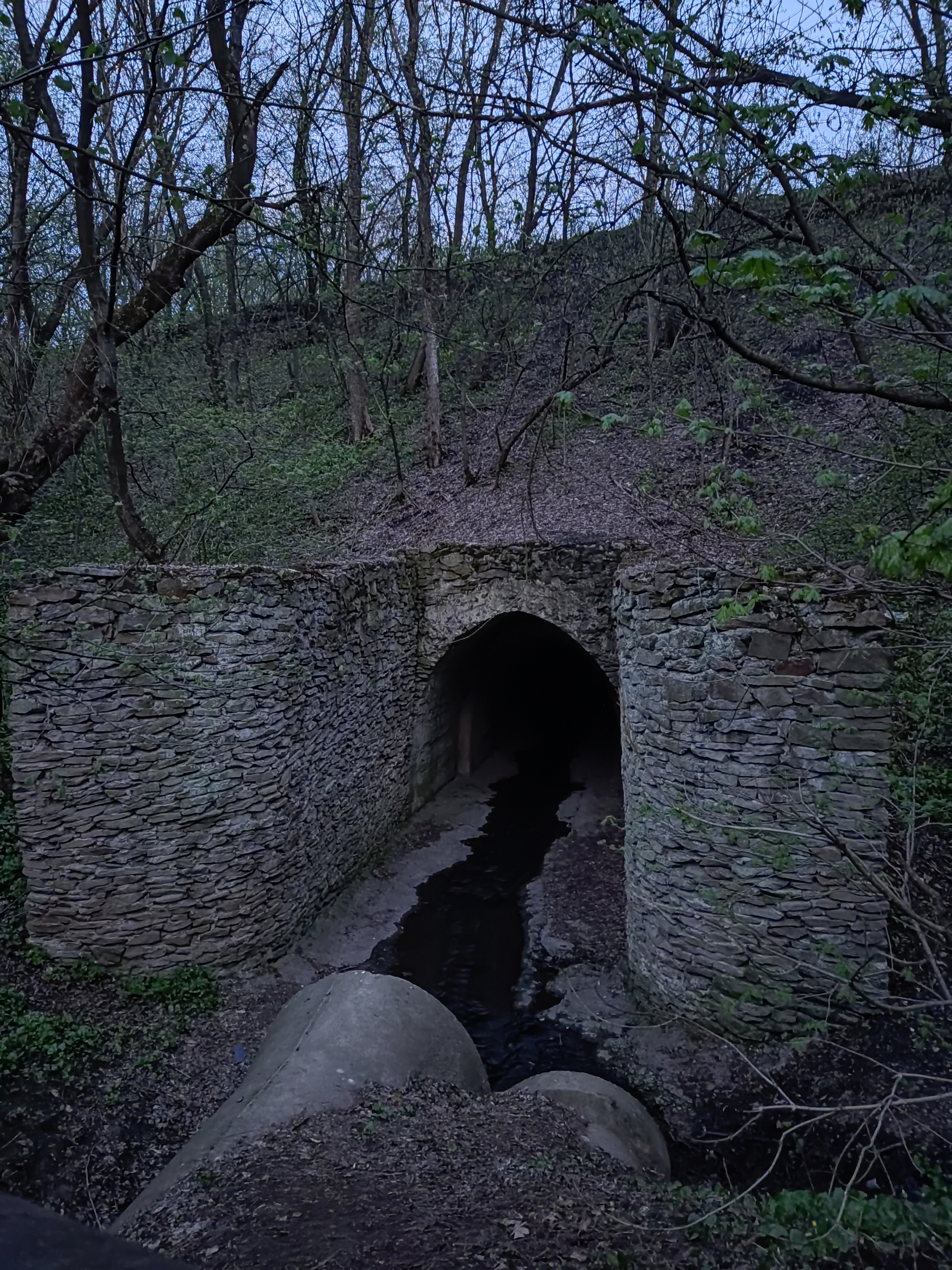 Creepy place - My, Forest, Mobile photography, Caves, Pipe