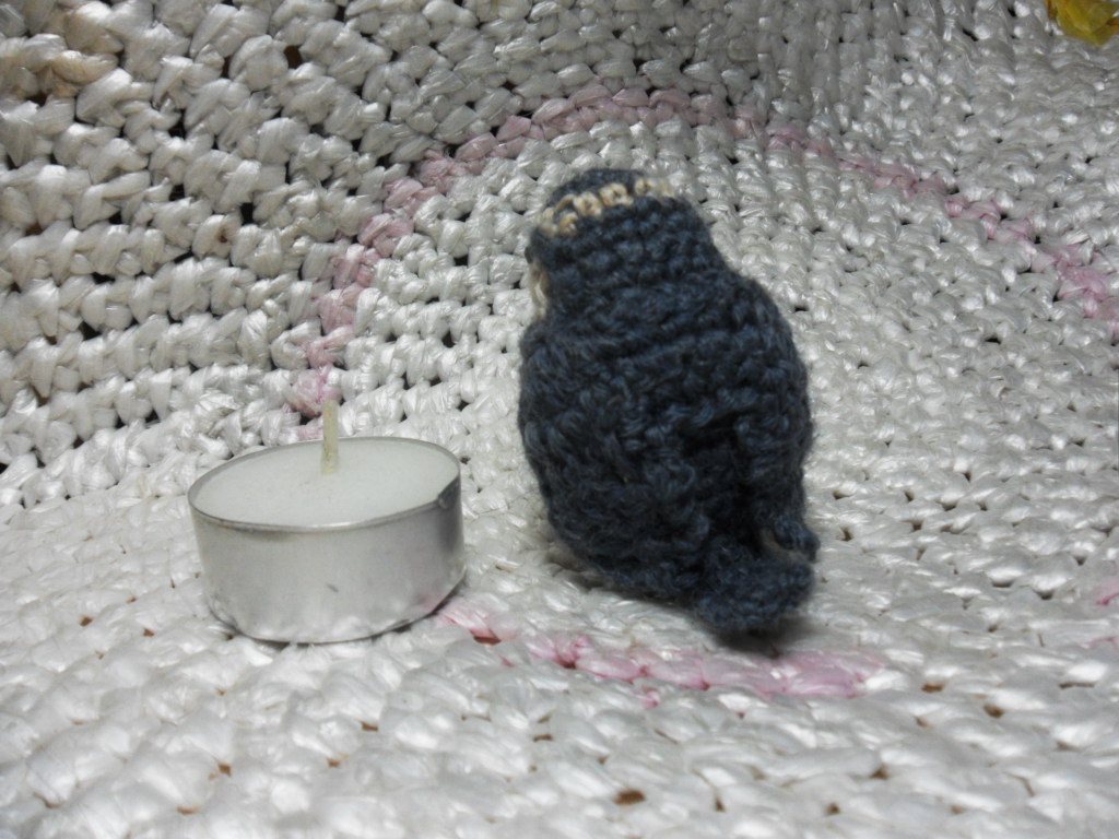 Birdmania: the third one has gone! - My, Crochet, Amigurumi, Birds, Longpost