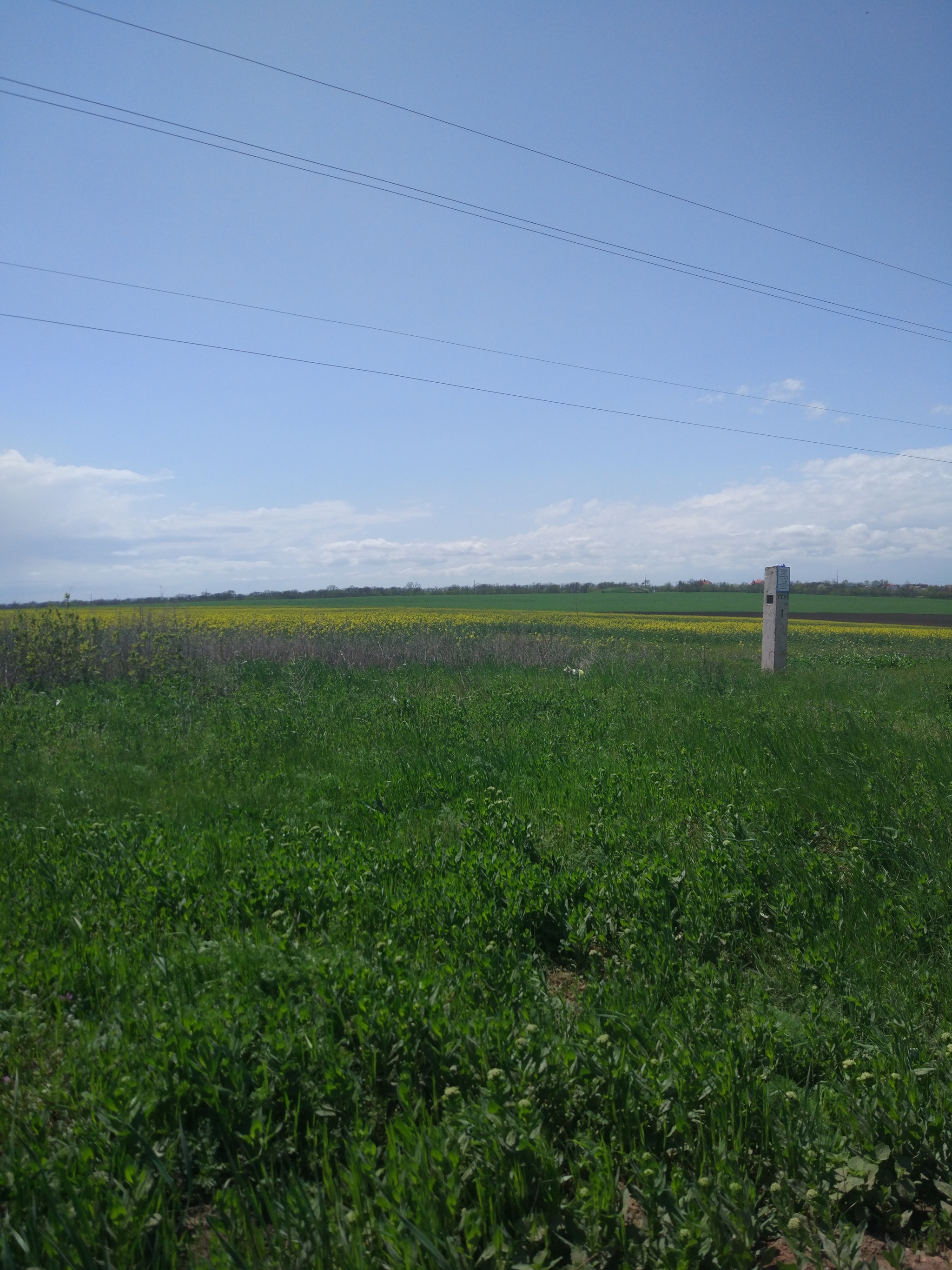 Breathe fresh air - Nature, beauty, Zhytya