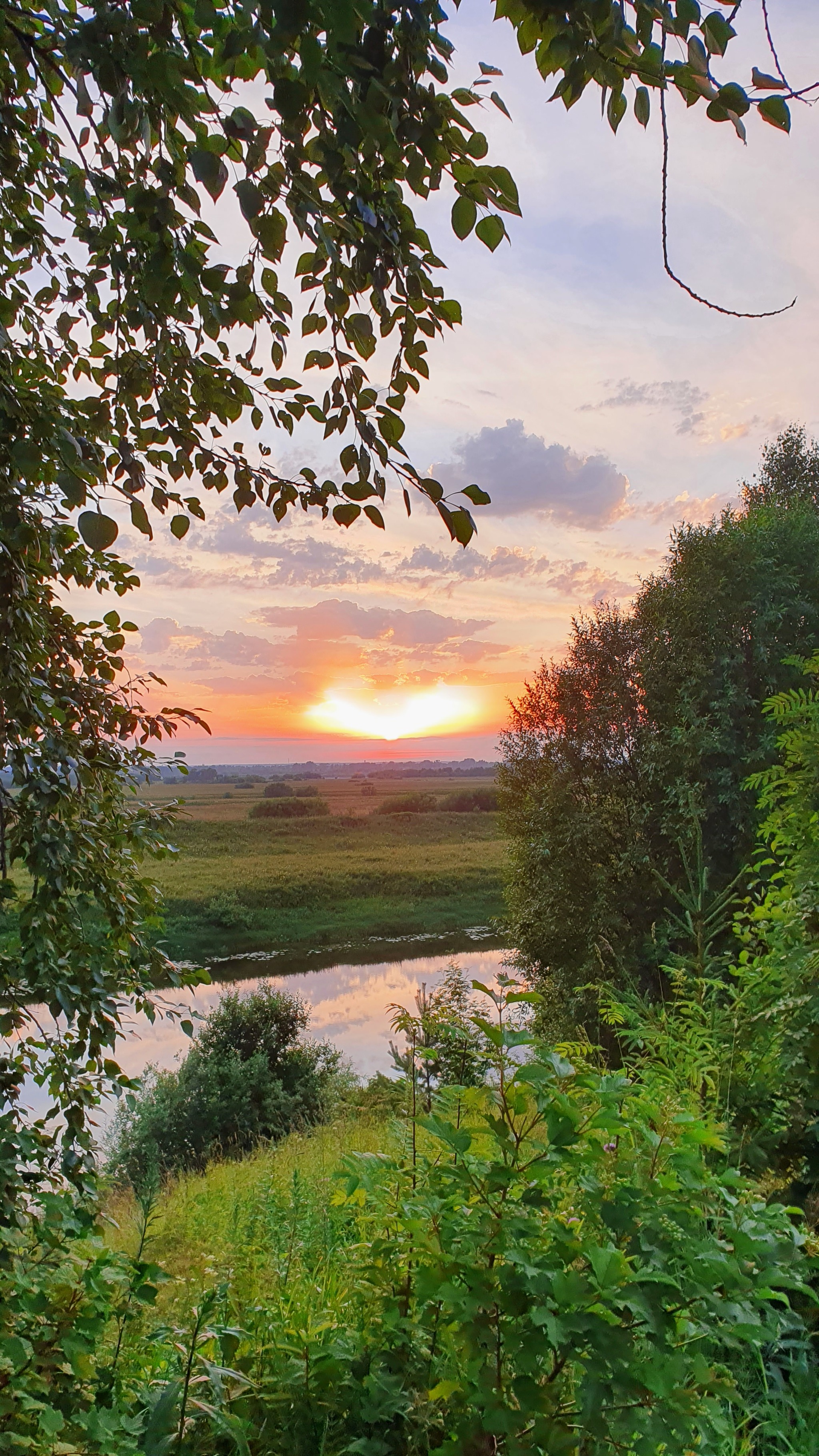 Summer in the village - My, Village, Summer, Nature, Longpost