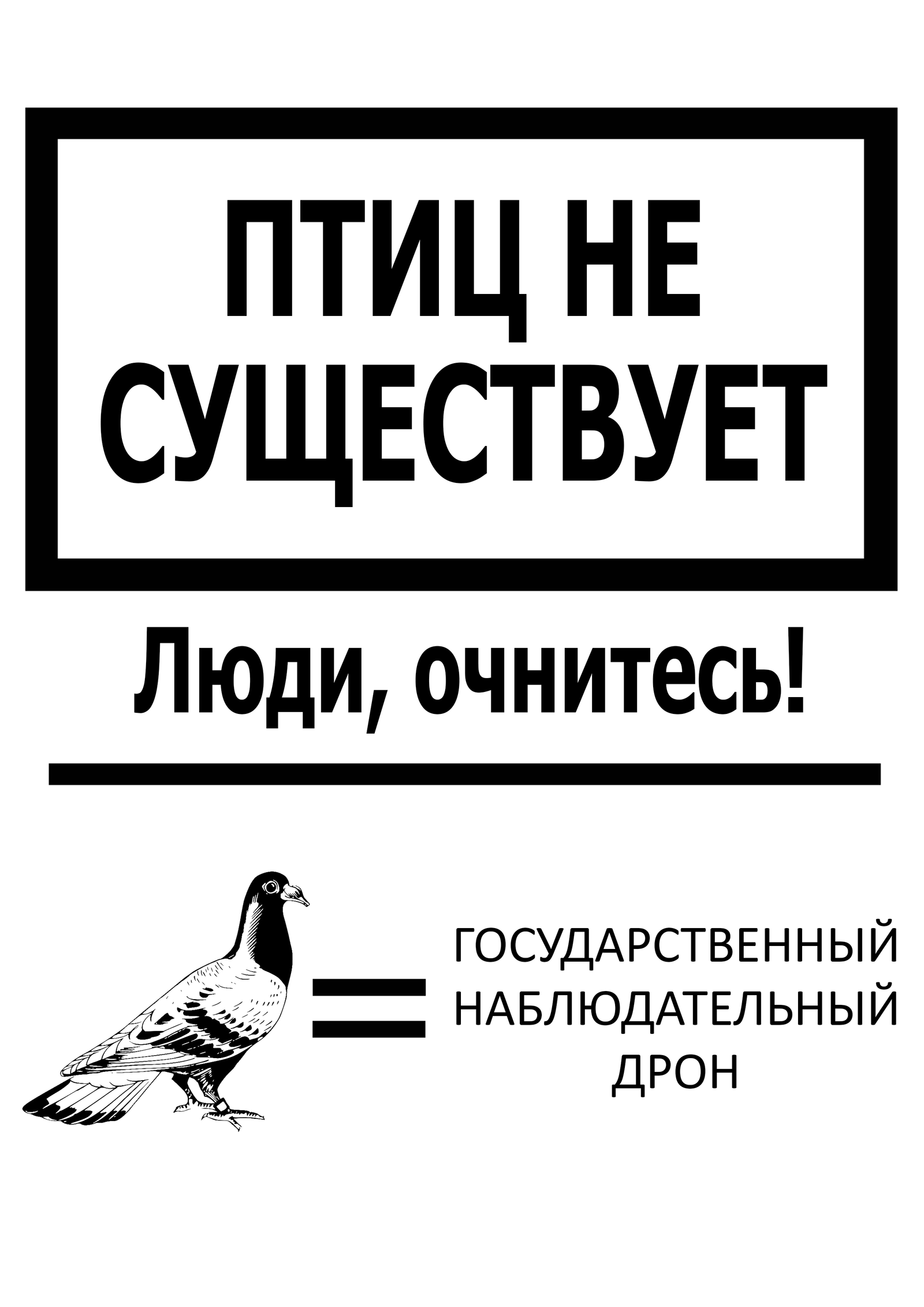 Сегодня мы узнаем про одну из самых тупых теорий заговора: птиц не  существует | Пикабу