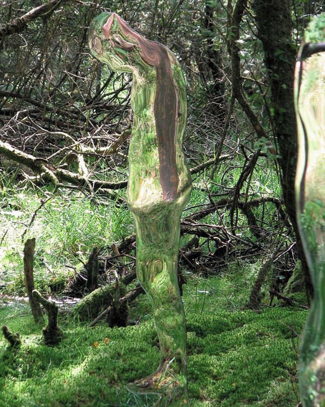 Glass figures Vestige Figures - Sculpture, Glass, Sculptors, Transparency, Landscape, the effect, Scotland, Forest, Repeat, Video, Longpost