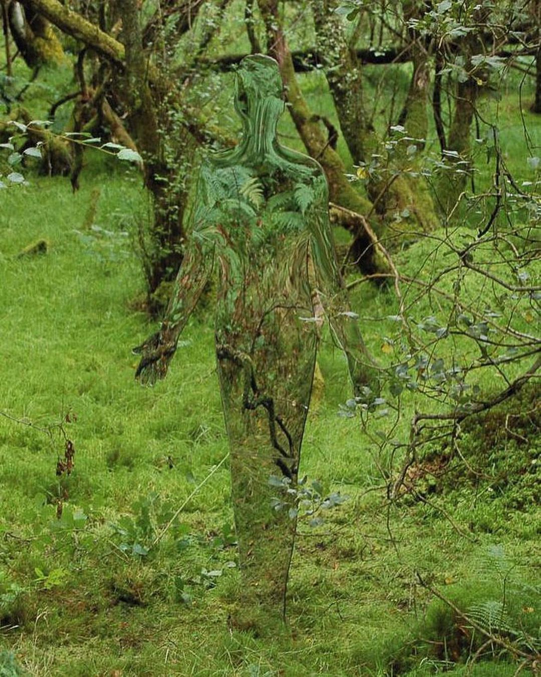 Glass figures Vestige Figures - Sculpture, Glass, Sculptors, Transparency, Landscape, the effect, Scotland, Forest, Repeat, Video, Longpost