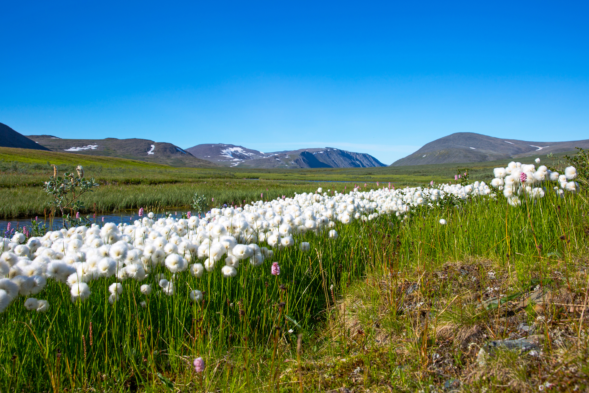 A few more photos from the hike in the Polar Urals - My, The mountains, Tourism, Polar Urals, Longpost