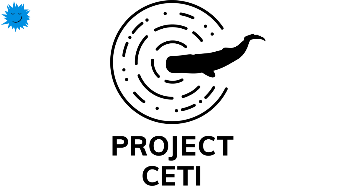 CETI project - decoding the “language” of sperm whales - The science, Decryption, Sperm whale, Ecology, Machine learning, Longpost