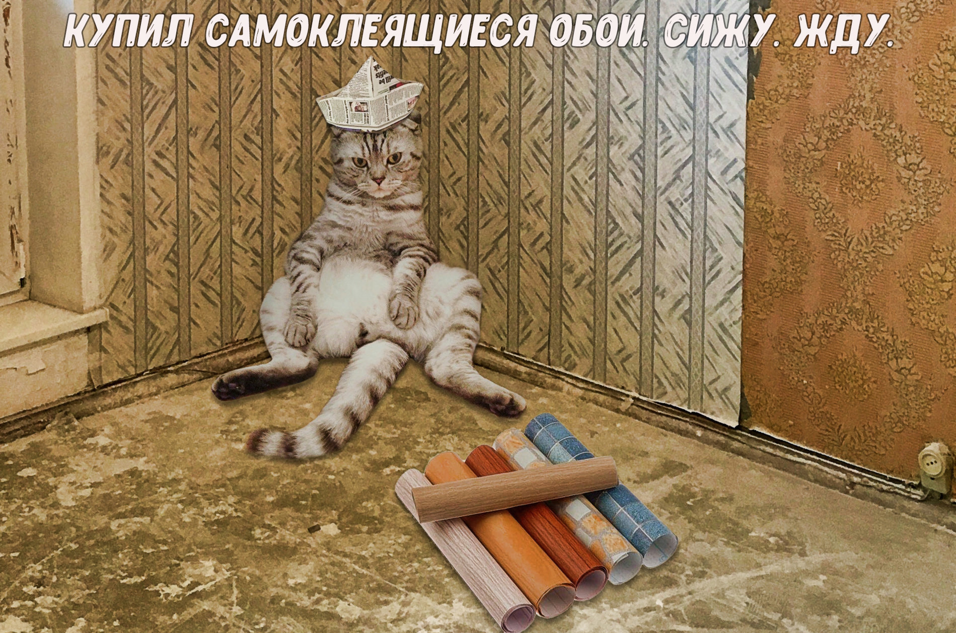 Которемонт | Пикабу