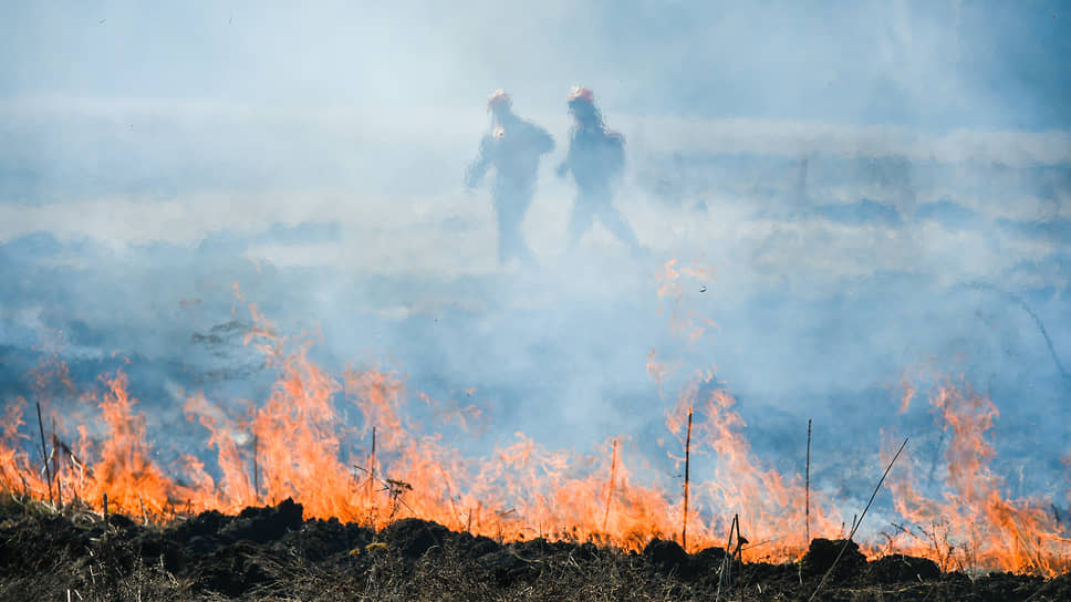 Fire element - Fire, Fire, Element, Disaster, Omsk region, Video, Mat, Longpost, Vertical video