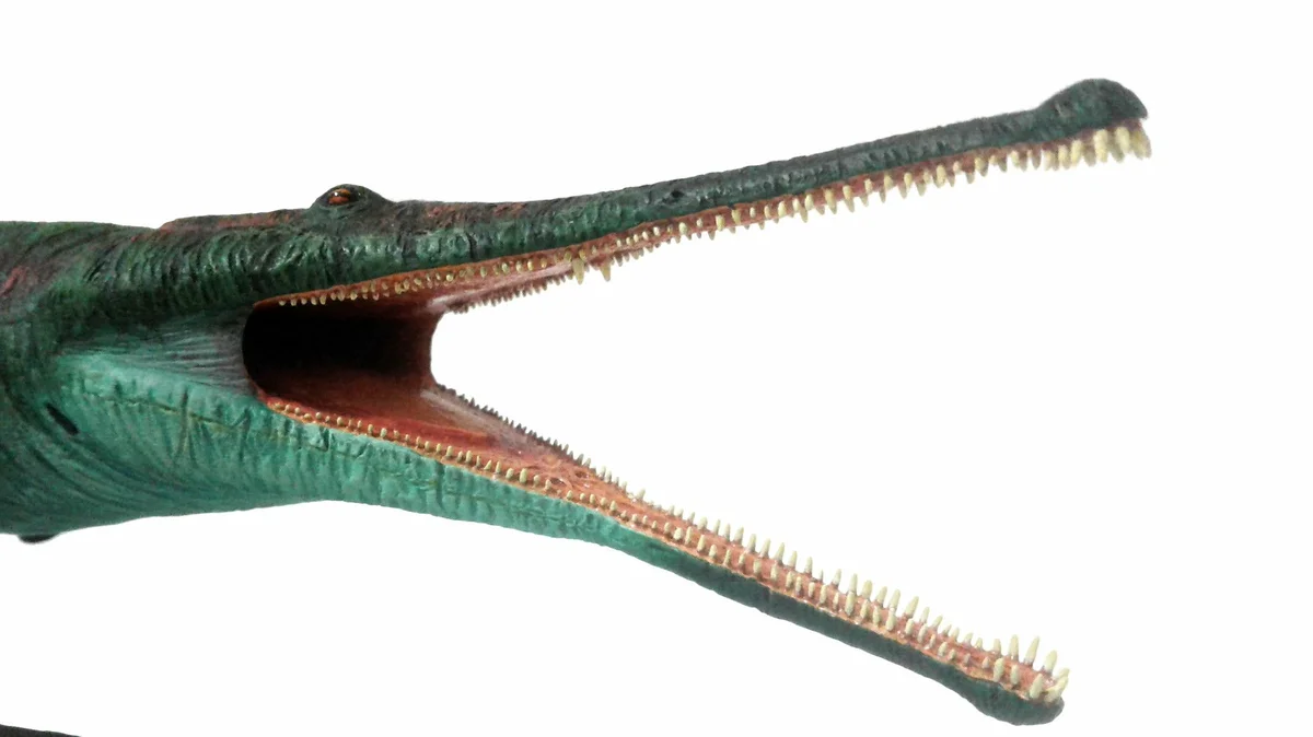 Prionosuchus: Crocodile in the body of an amphibian. The titanic monster was a superpredator beyond any competition - Frogs, League of biologists, Yandex Zen, Animals, Longpost