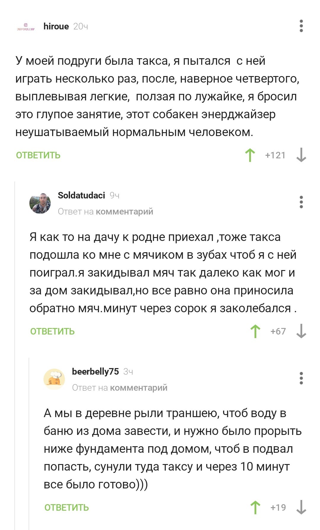 Про такс - Такса, Собака, Игра в мяч, Выносливость, Скриншот, Комментарии на Пикабу