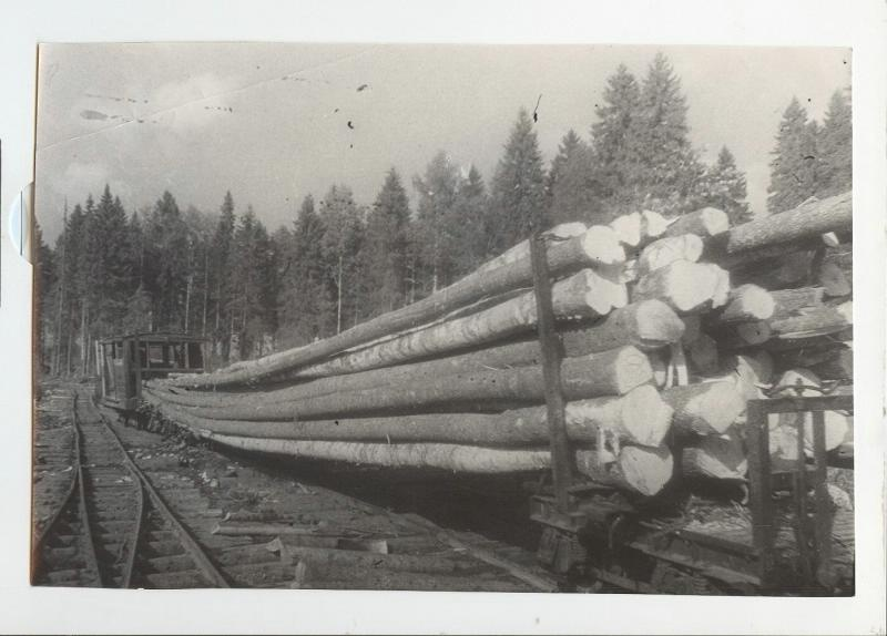 Old photos No. 27 - Story, The photo, A selection, Retro, the USSR, Longpost, Black and white photo, Historical photo, History of the USSR