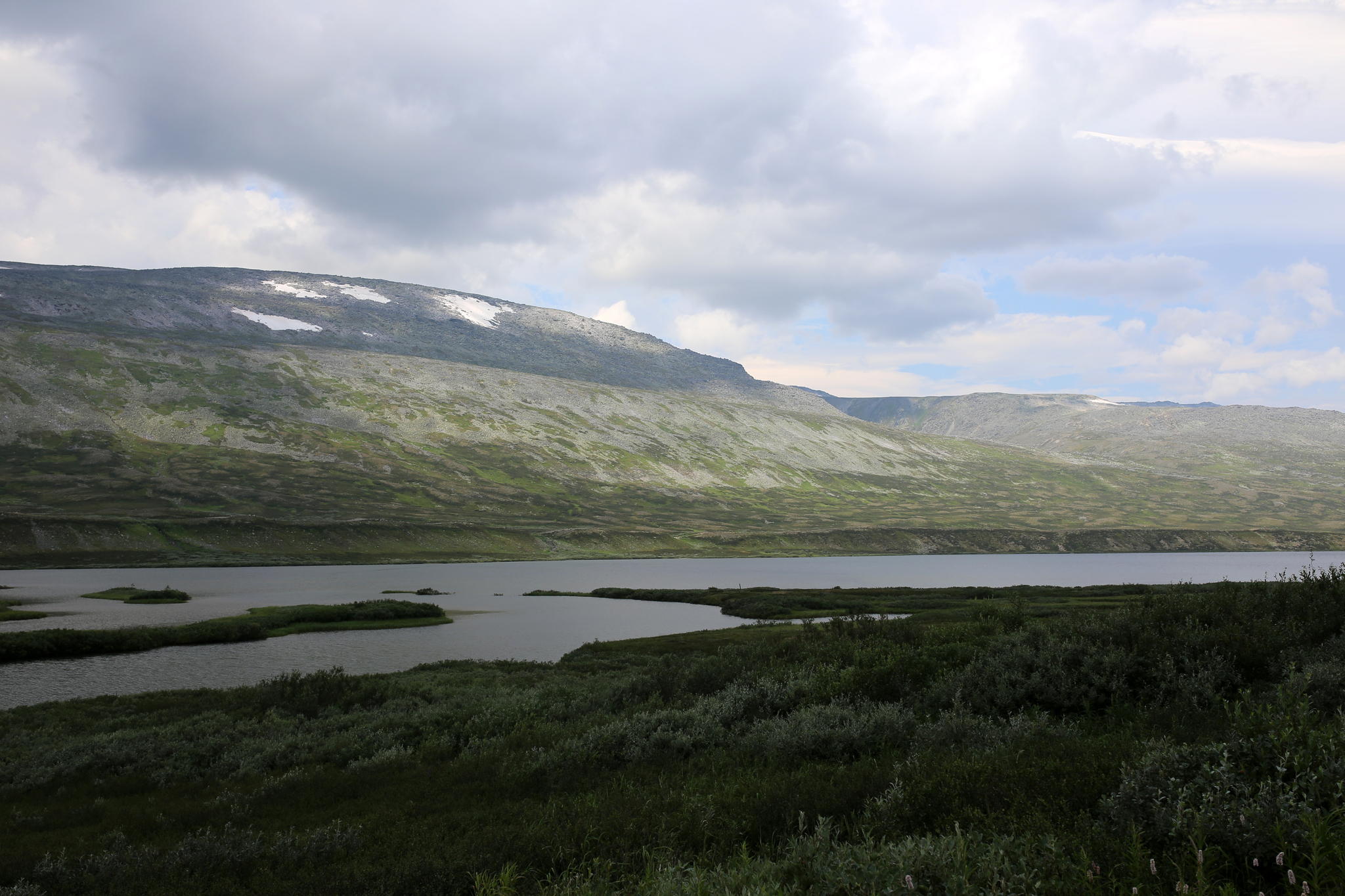 Trekking to the Subpolar Urals. Yugyd-Va National Park. July 2016 - My, Tourism, Polar Urals, The mountains, Longpost