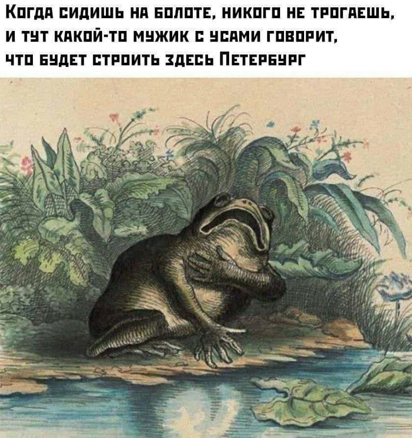 Shakes in St. Petersburg style - Memes, Saint Petersburg, Frogs, Picture with text, Humor