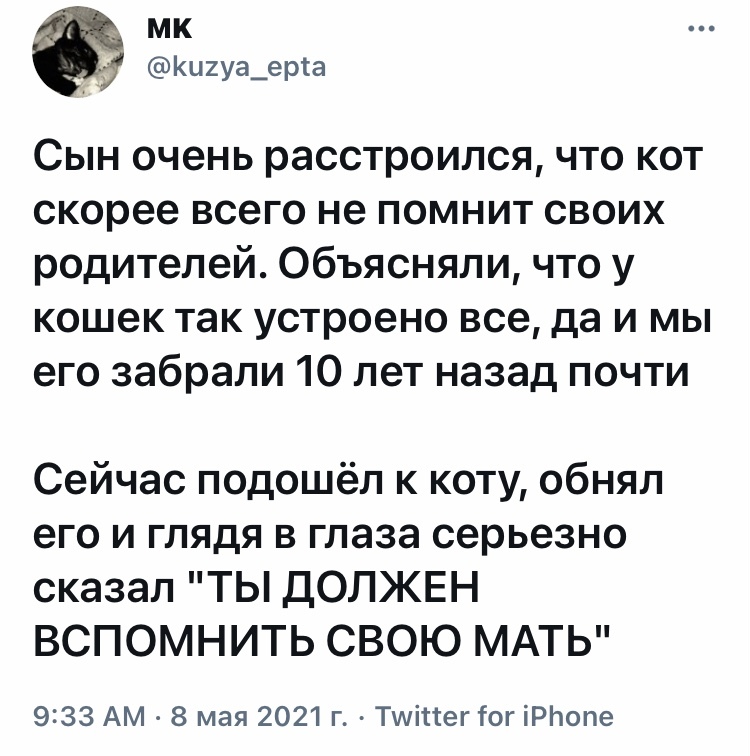 Кот, я твой отец - Юмор, Скриншот, Twitter, Кот, Дети