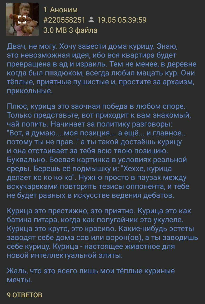 Искусство ведения дебатов с помощью курицы | Пикабу