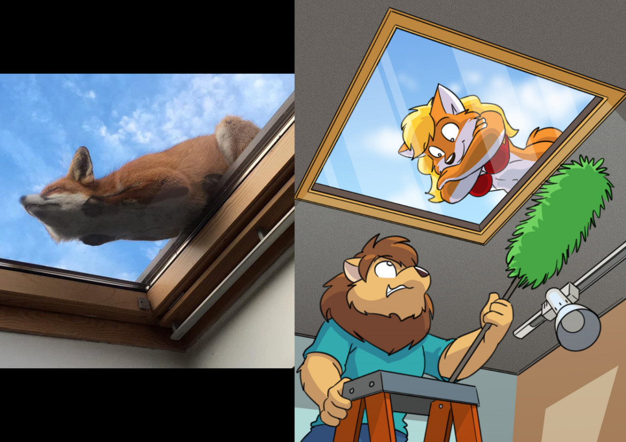 Window fox - Furry, Furry art, Furry canine, Furry fox, Furry feline, Furry lion, Window, Fox