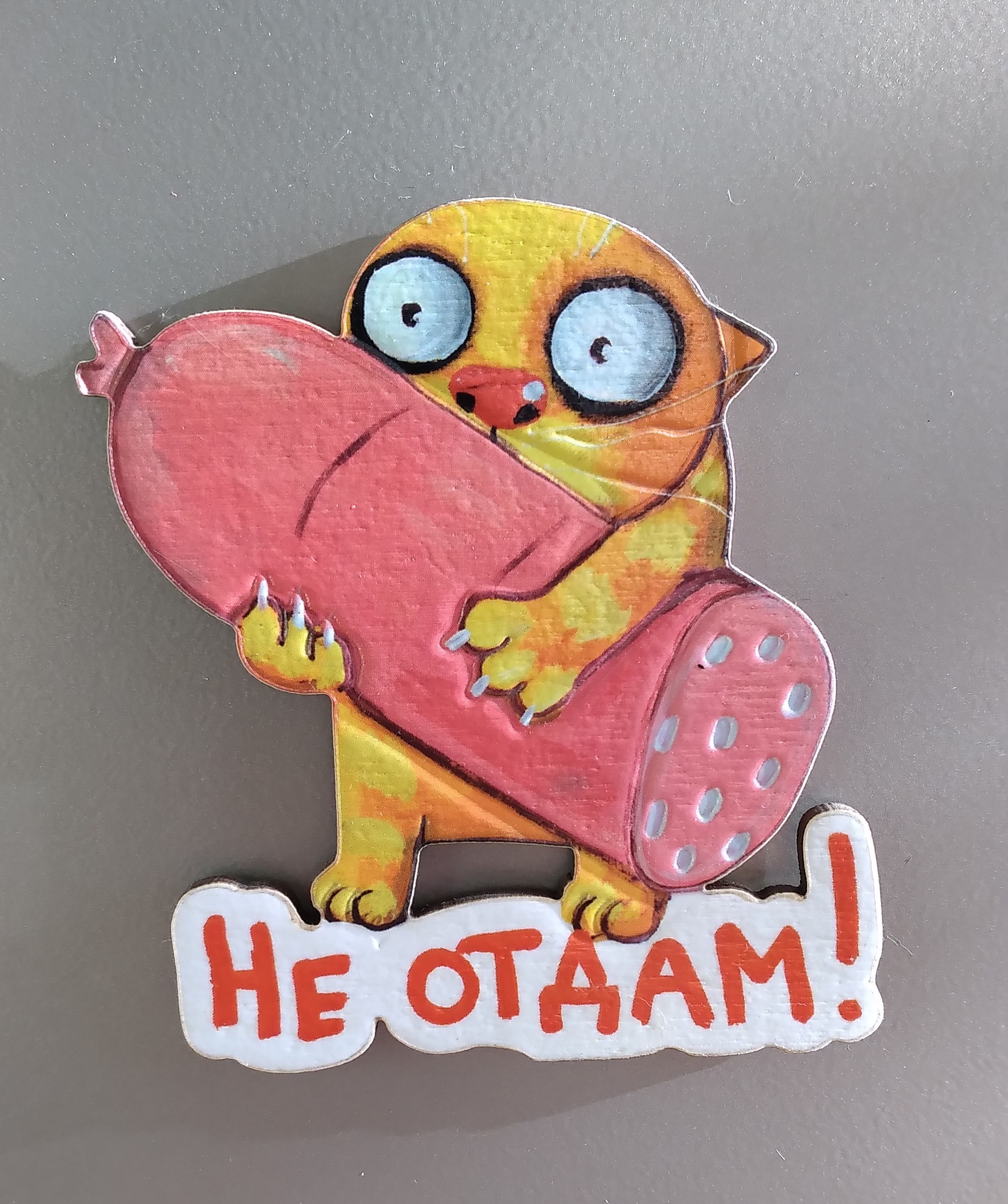 I bought this magnet at the exhibition!))) - My, Vasya Lozhkin, cat, Souvenirs, Magnets