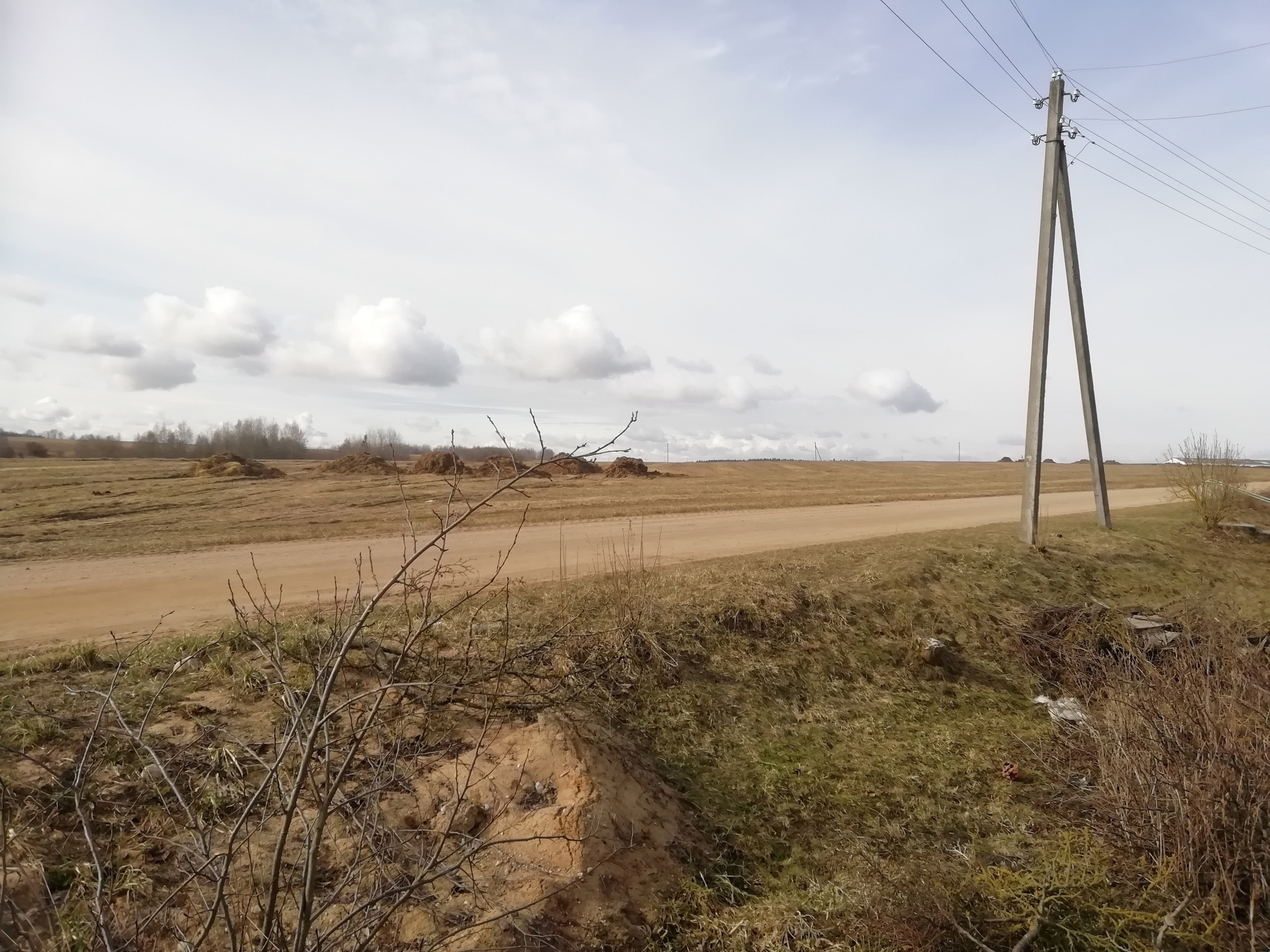 While we were planting potatoes, I managed to take a photo of the collective farm field across the road from our dacha - My, Dacha, The photo, Nature, Republic of Belarus, Photo on sneaker