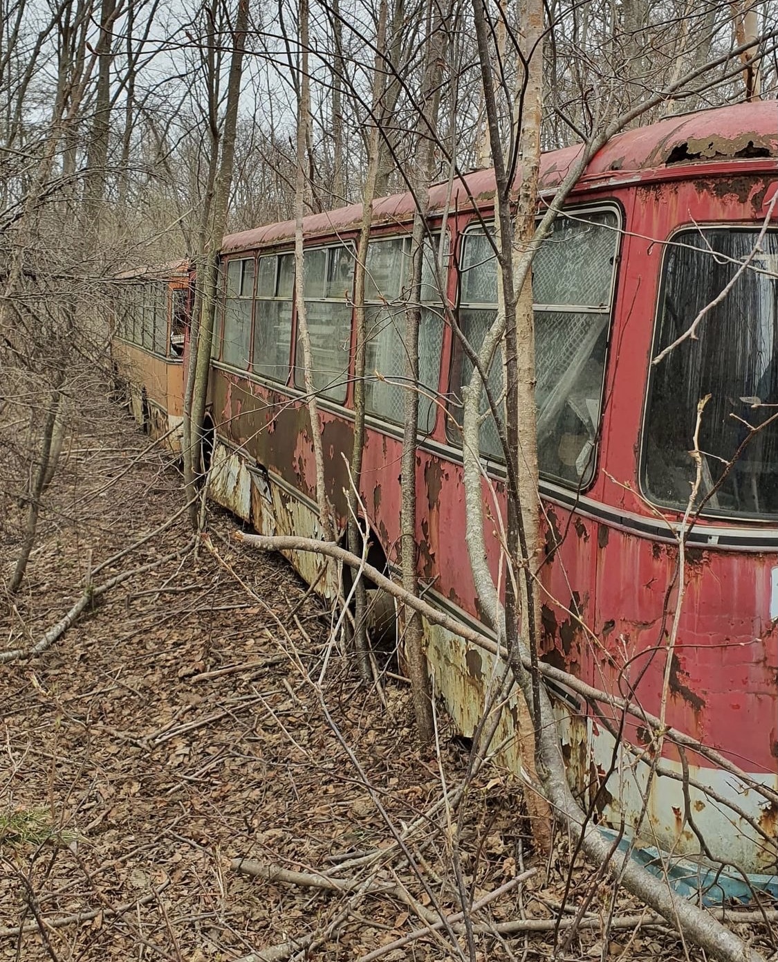 The ultimate... - the USSR, Bus, The ultimate, Sakhalin, Sakhalin Region, Forest, Longpost