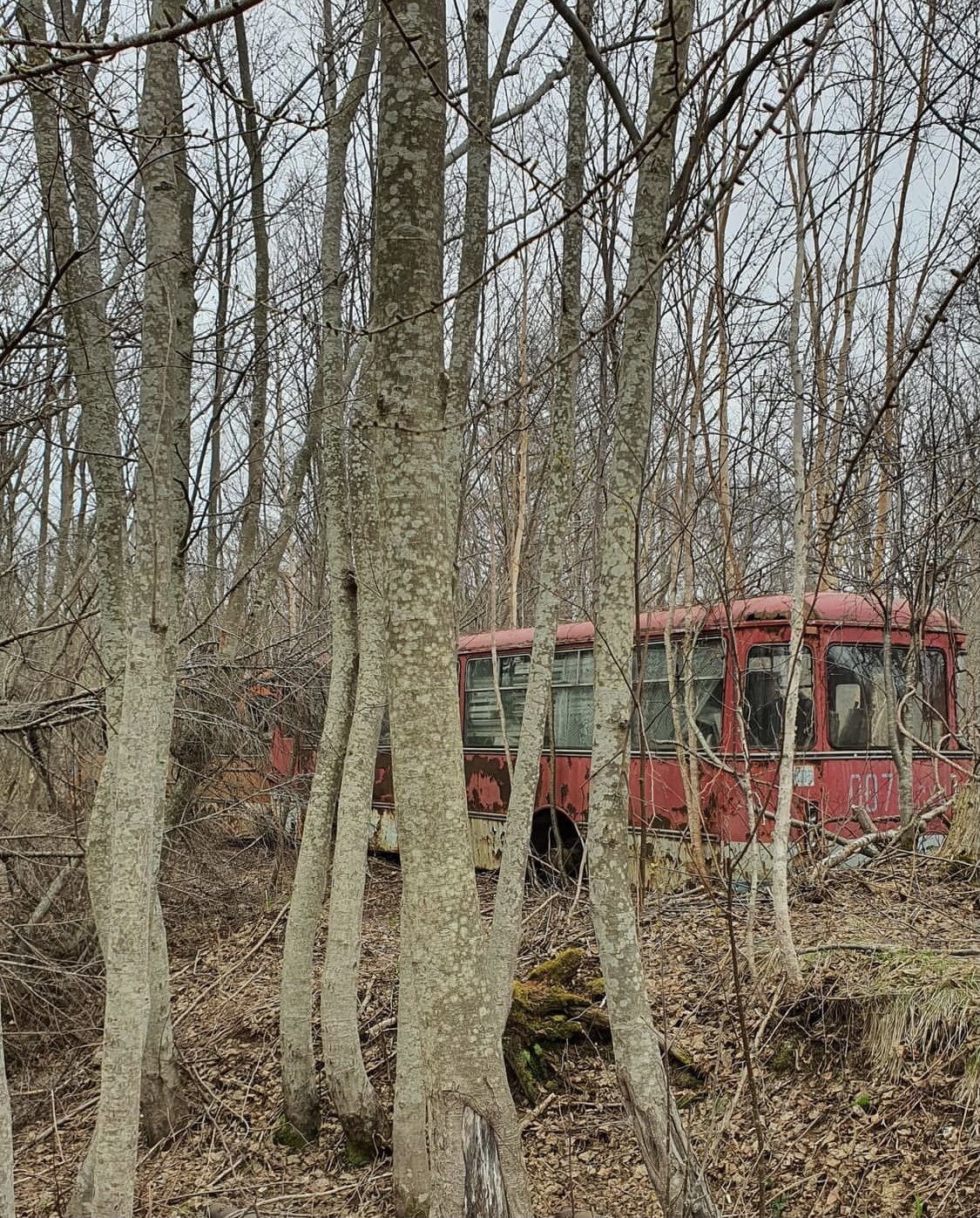 The ultimate... - the USSR, Bus, The ultimate, Sakhalin, Sakhalin Region, Forest, Longpost