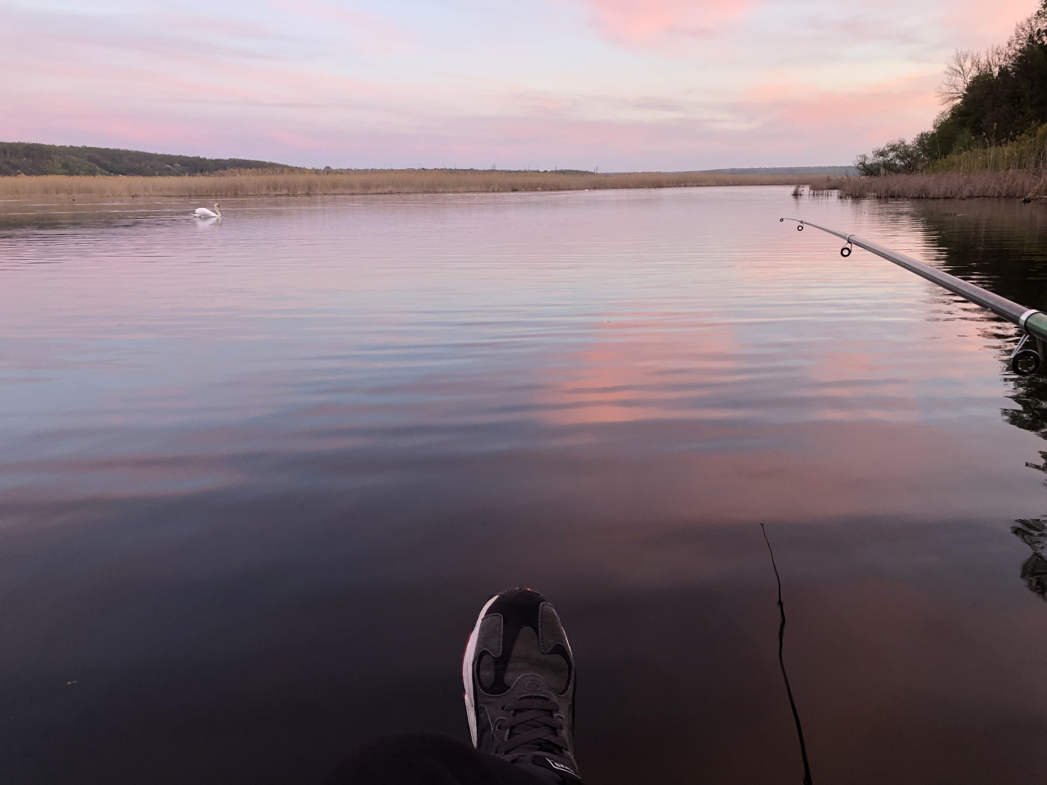 I share my good mood - My, Fishing, A fish, Nature, Longpost, The photo