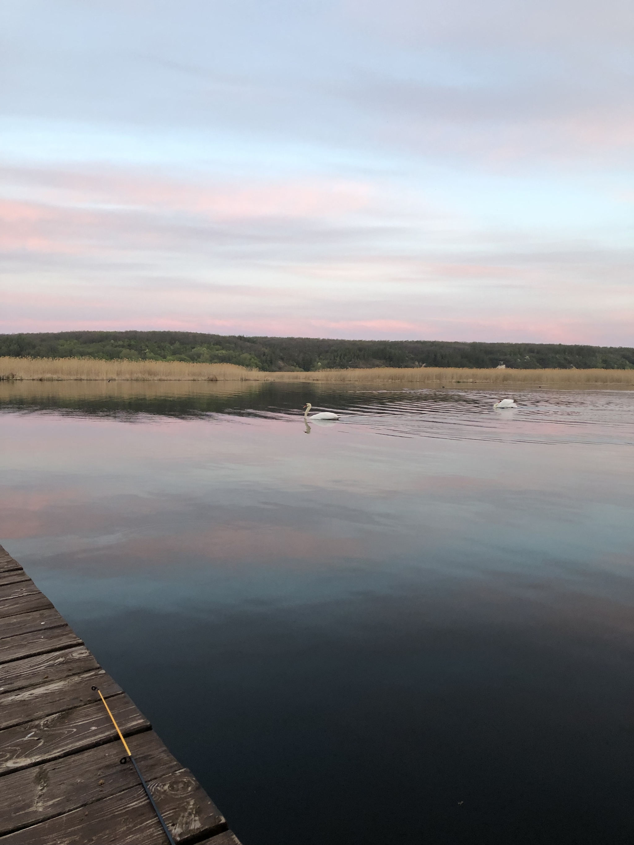 I share my good mood - My, Fishing, A fish, Nature, Longpost, The photo