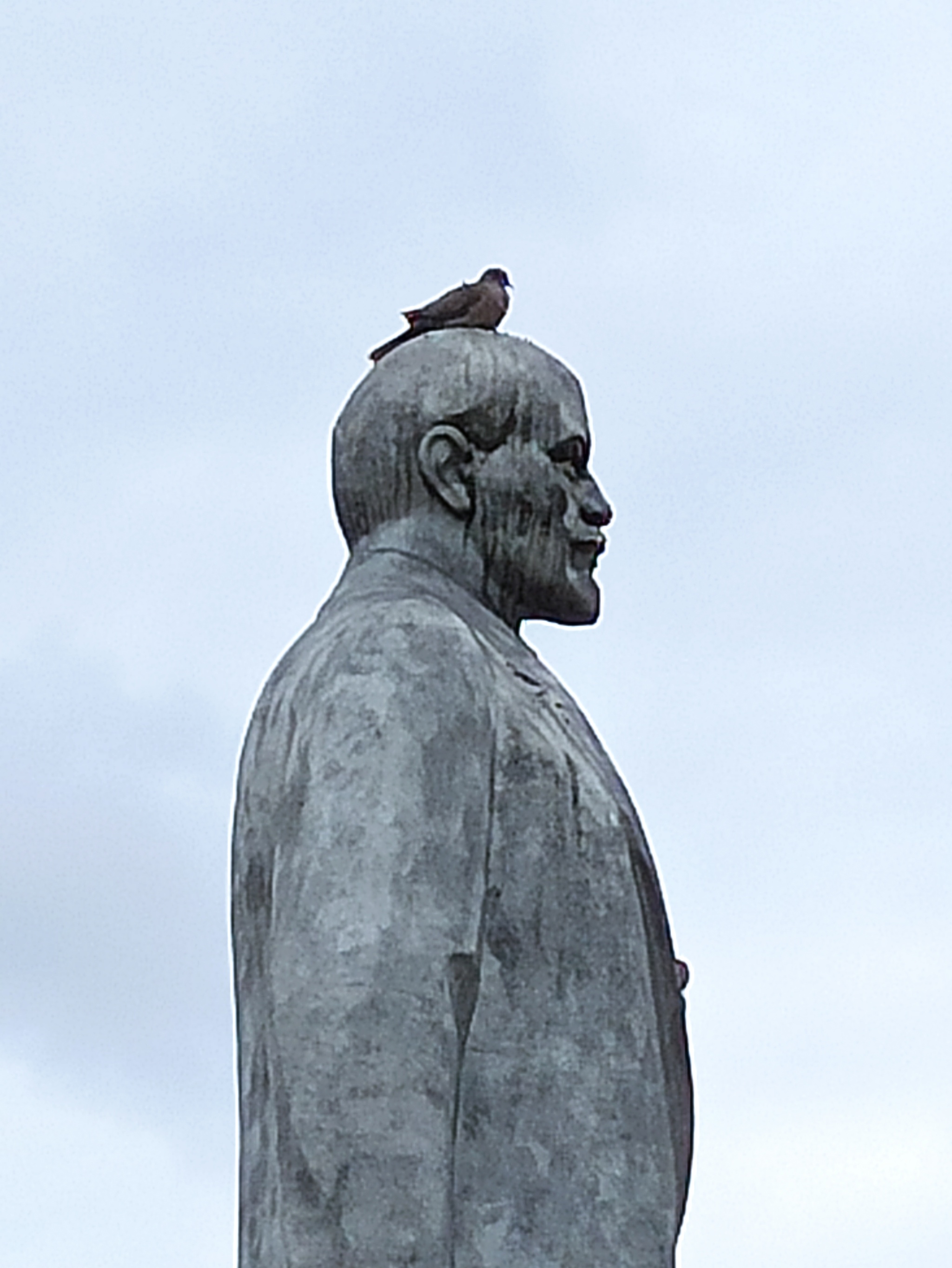 I present to your attention... - My, Humor, Pigeon, Lenin, Monument, Photo on sneaker, Longpost