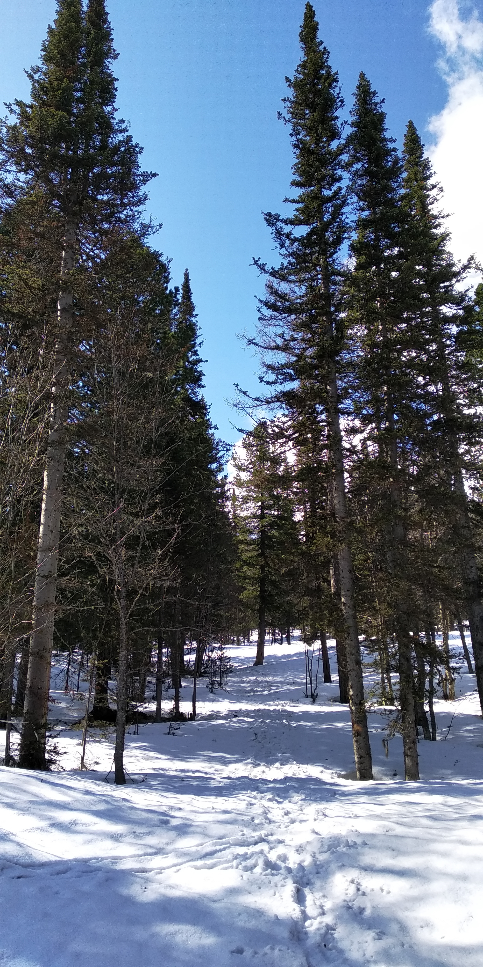 Небольшая прогулка в горы на майские праздники - Моё, Горы, Поход, Природа, Длиннопост