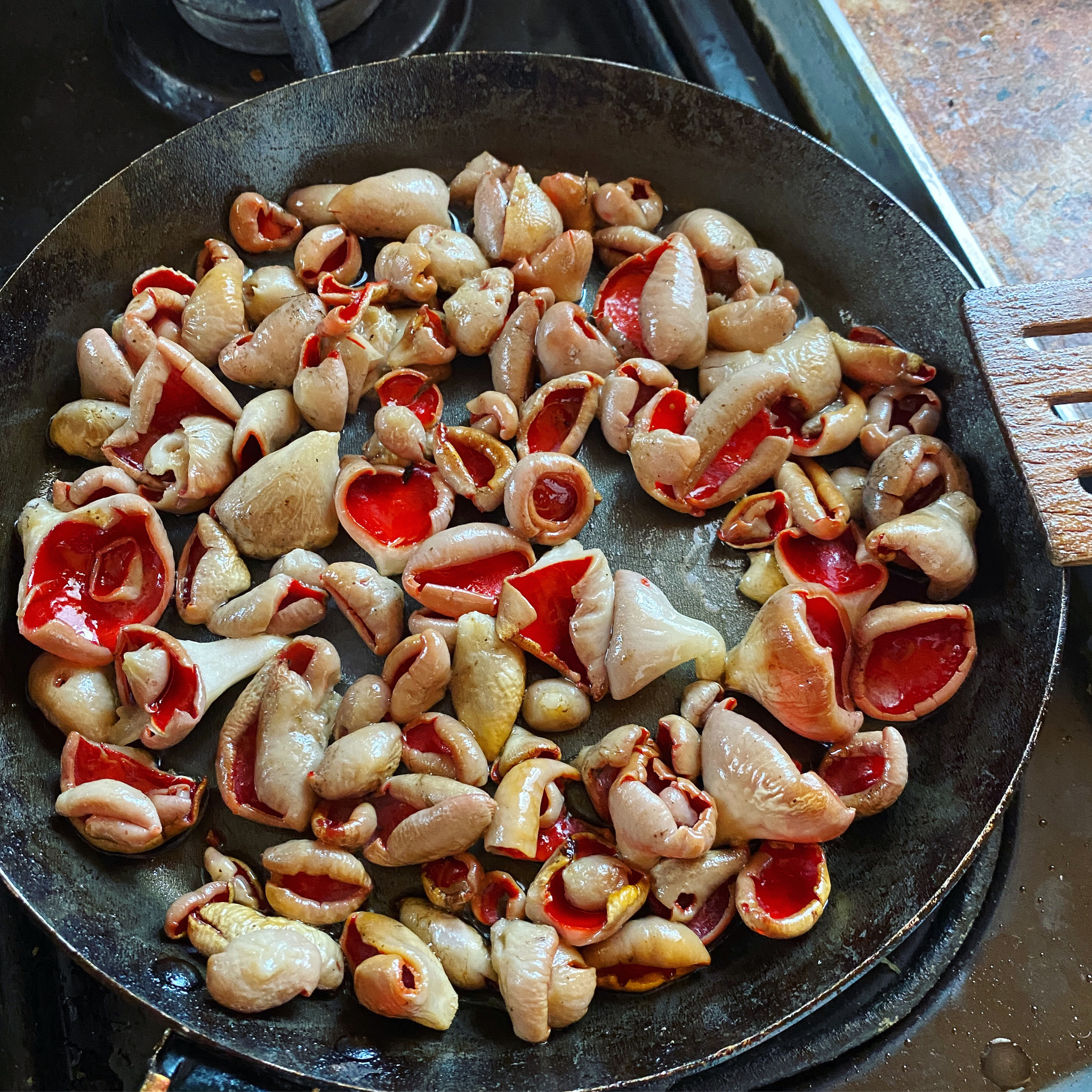 Opening of the mushroom season 2021 - My, Mushrooms, Mushroom pickers, Forest, Longpost