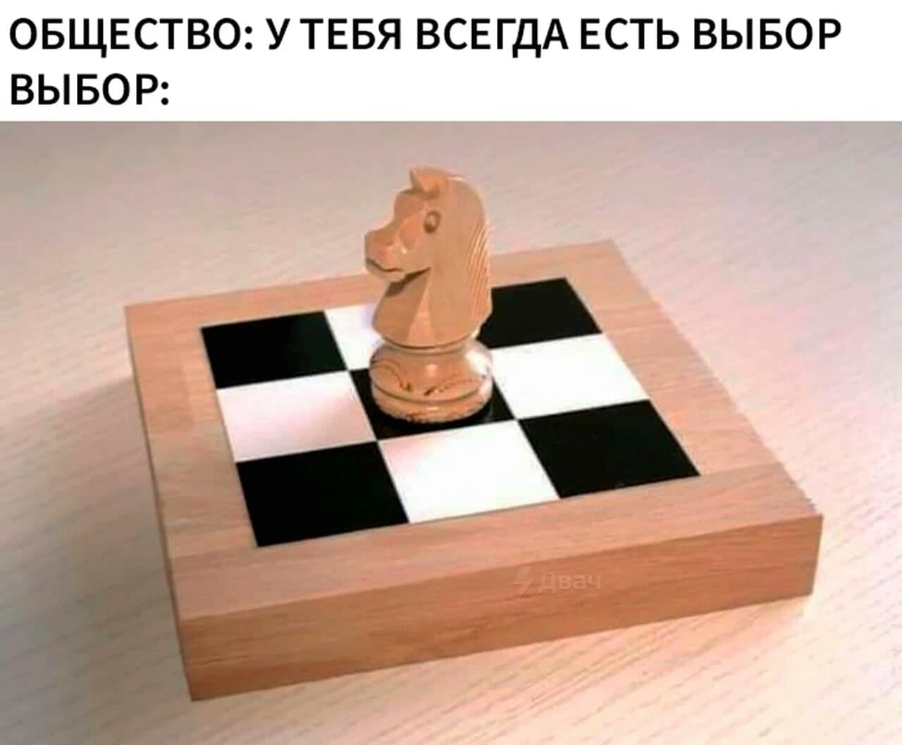 When you have no choice - Memes, Chess, Choice, Picture with text