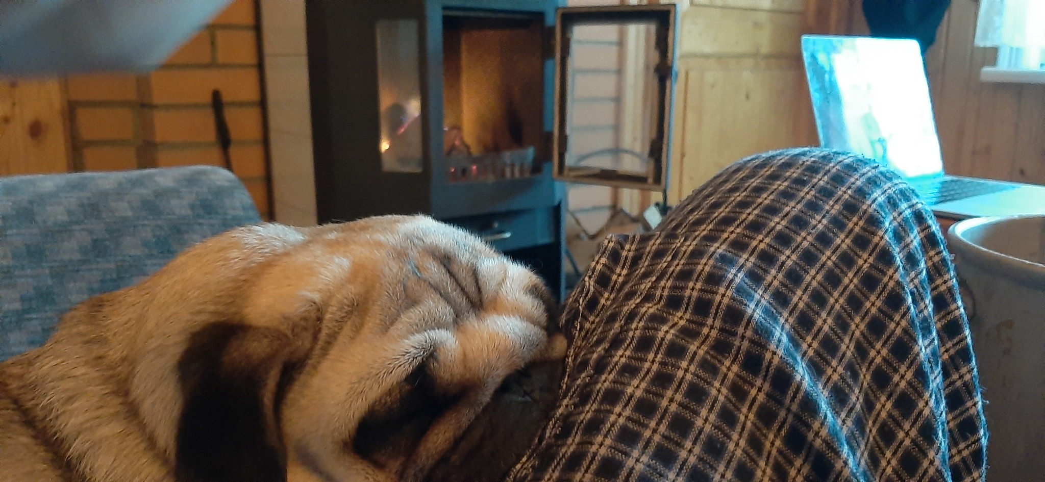 Pug high - My, Dog, Pug, Fireplace