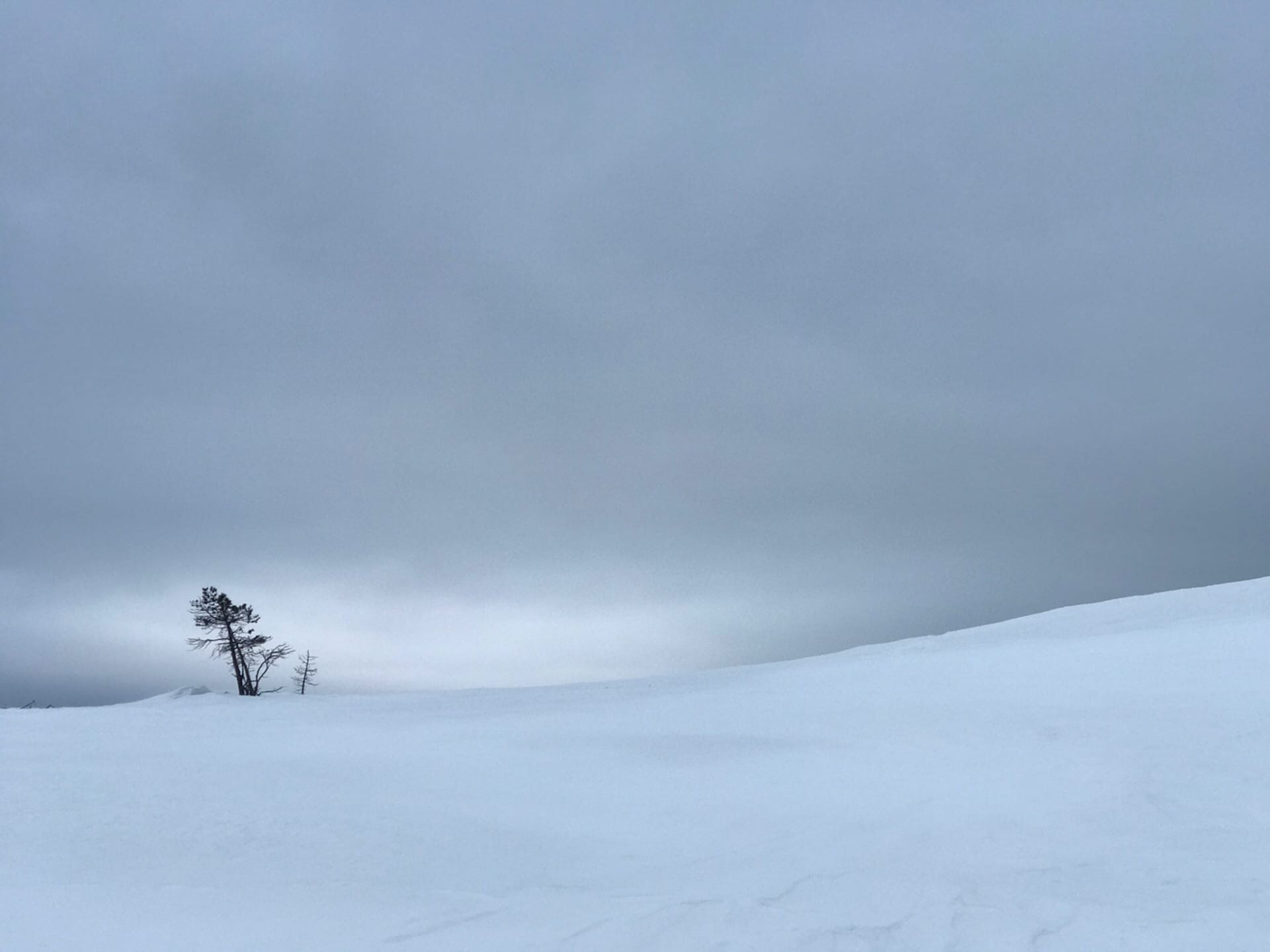 Mountains of the Kola Peninsula - My, Khibiny, Kola Peninsula, Kandalaksha, Spring, Mobile photography, North, The mountains, Longpost