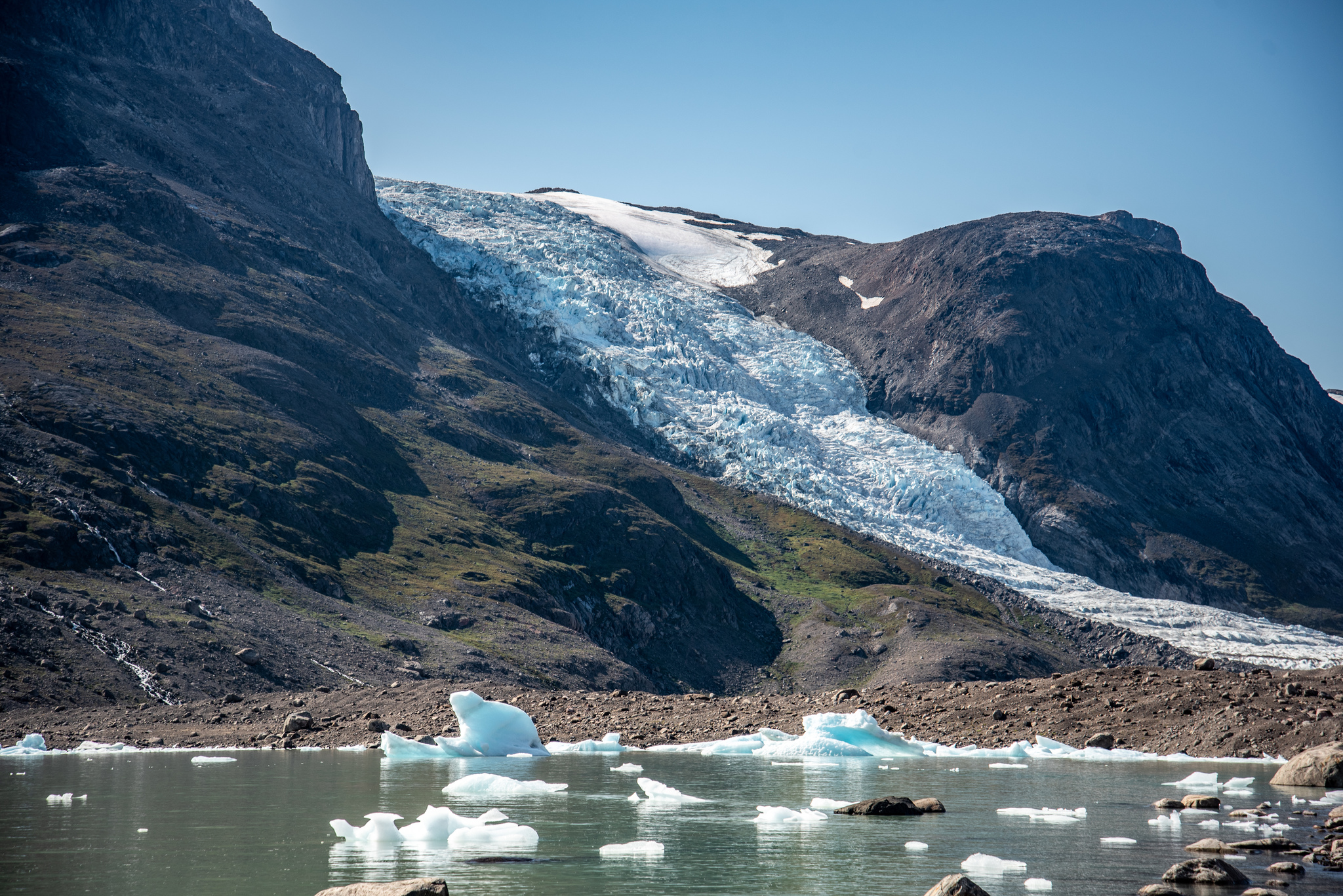 White swans... - My, The photo, Tourism, Greenland, Glacier, Ice, It seemed, Animals, Nature