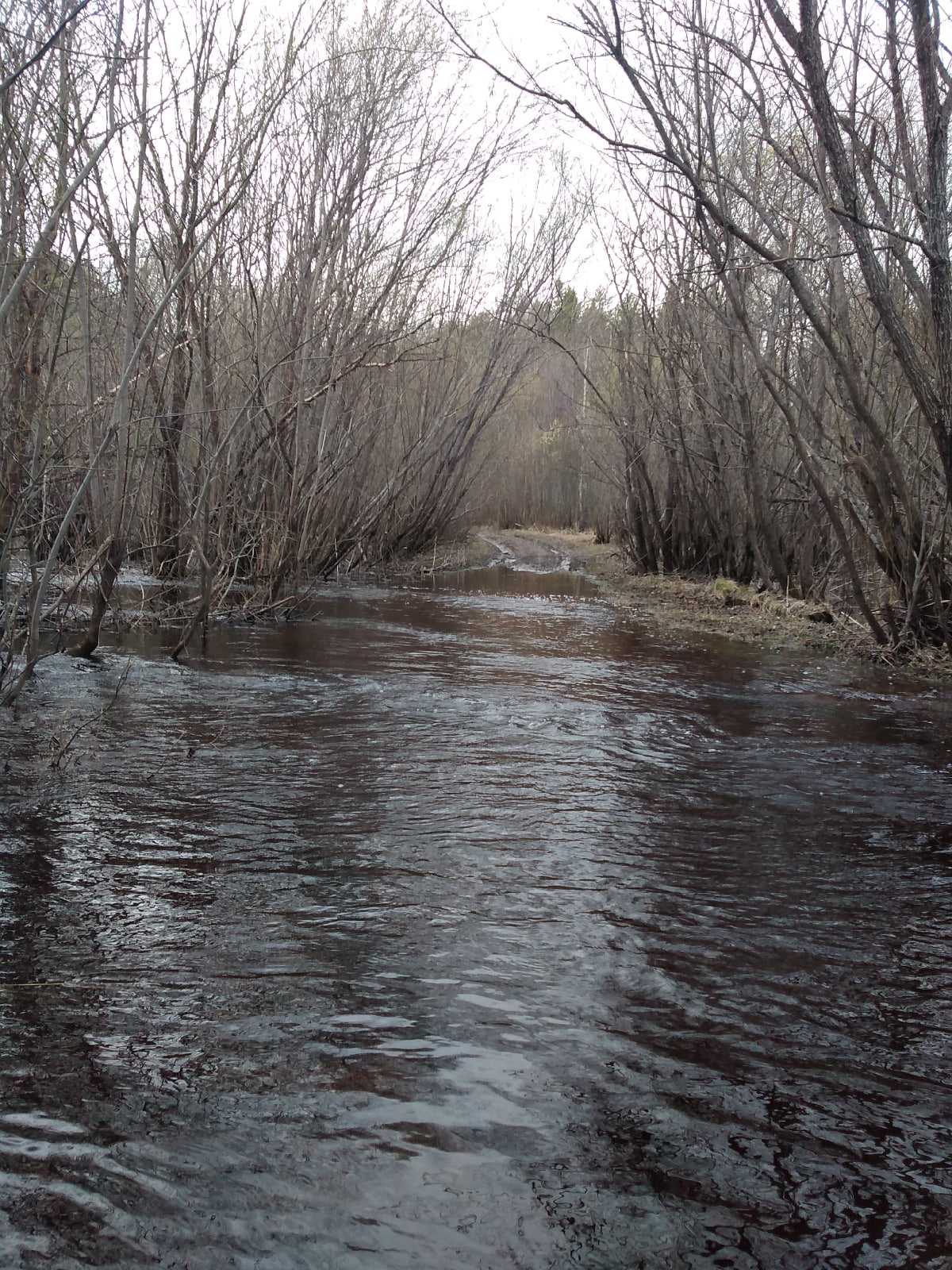 Spring. high water - My, Spring, Flood, Village, Nature, Mobile photography, Longpost