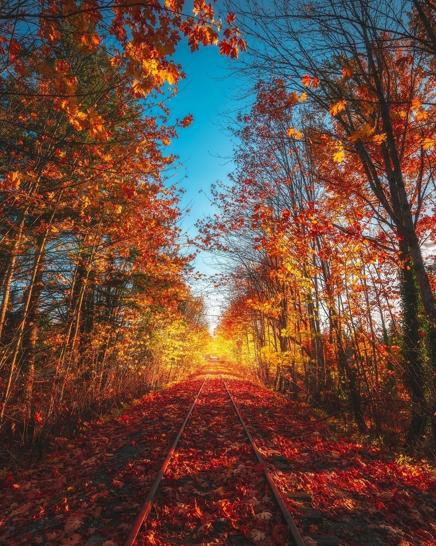 Vancouver, Canada - Canada, Vancouver, The photo, beauty, Nature, Autumn, beauty of nature, Railway