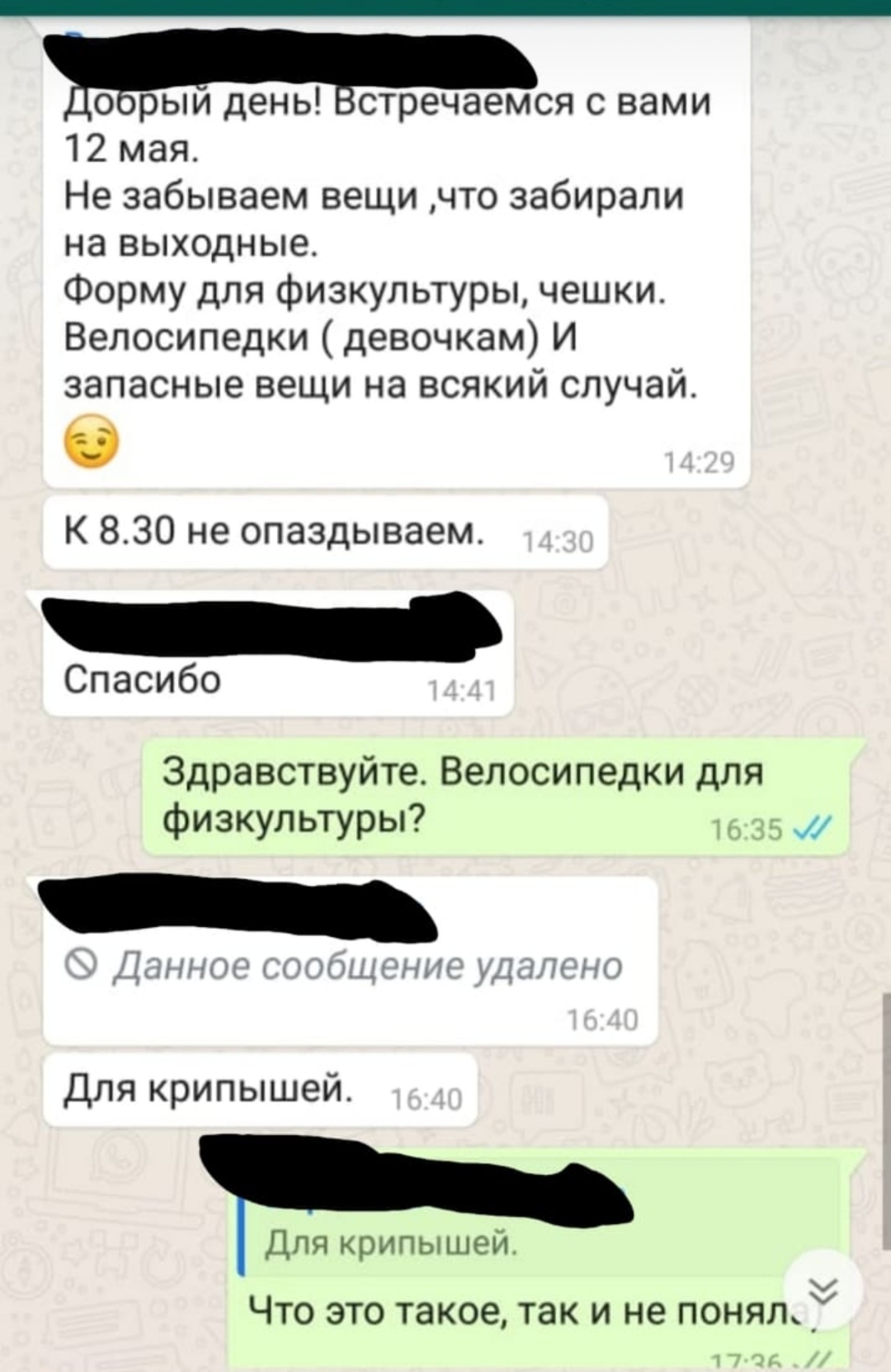 Один день из группы детского садика - Моё, Детский сад, Чат, Whatsapp