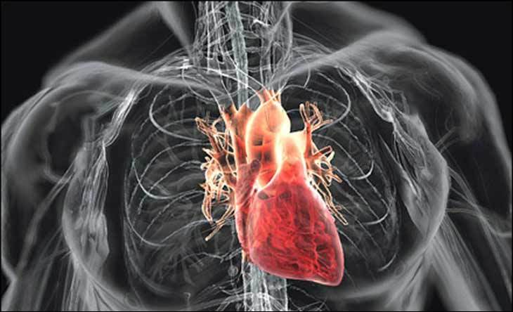 Sports heart - My, Person, Health, Heart, Sport, Cardiology, Workout