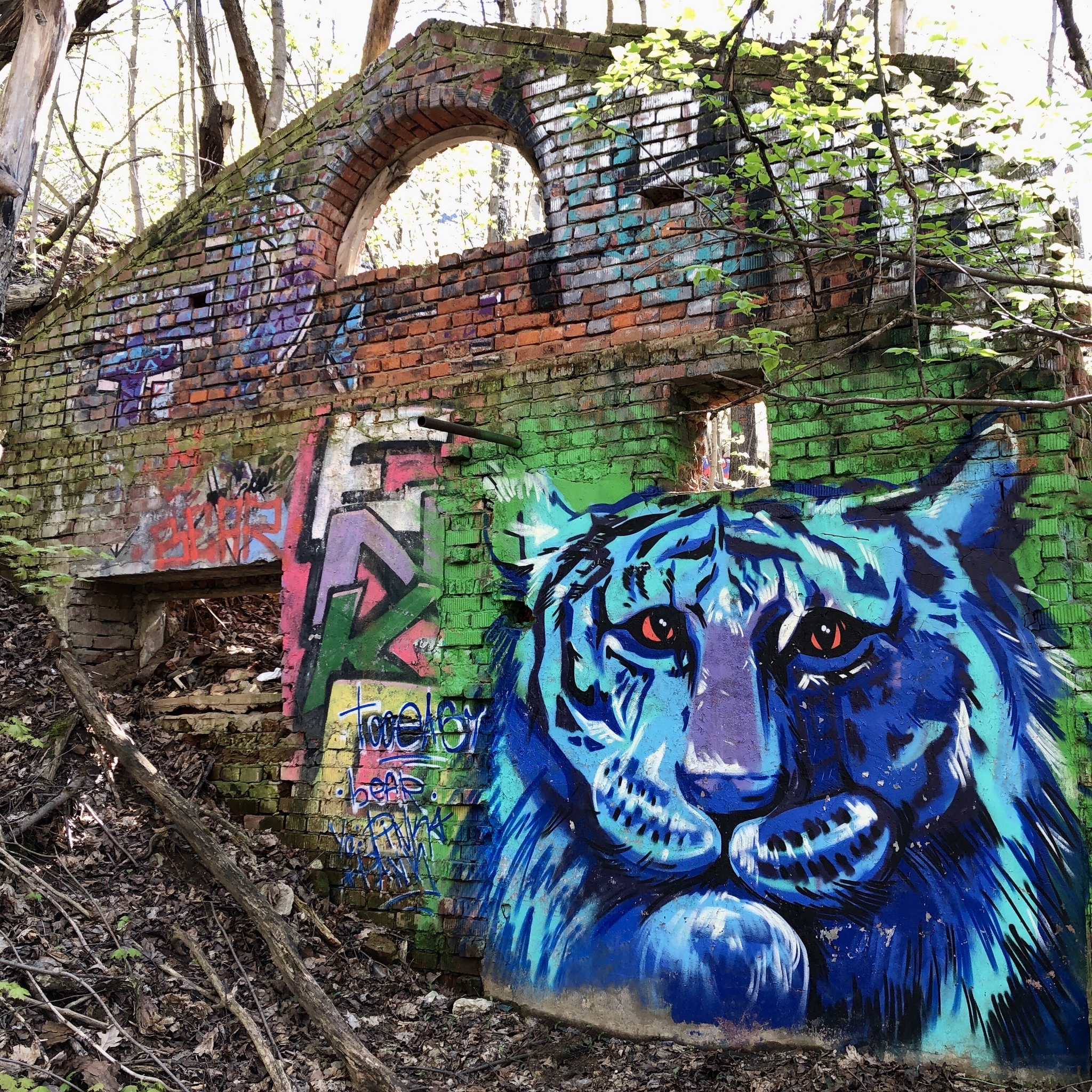 Blue cat - My, Graffiti, Art, Abandoned, Destruction, cat, Tiger, Wall, The photo